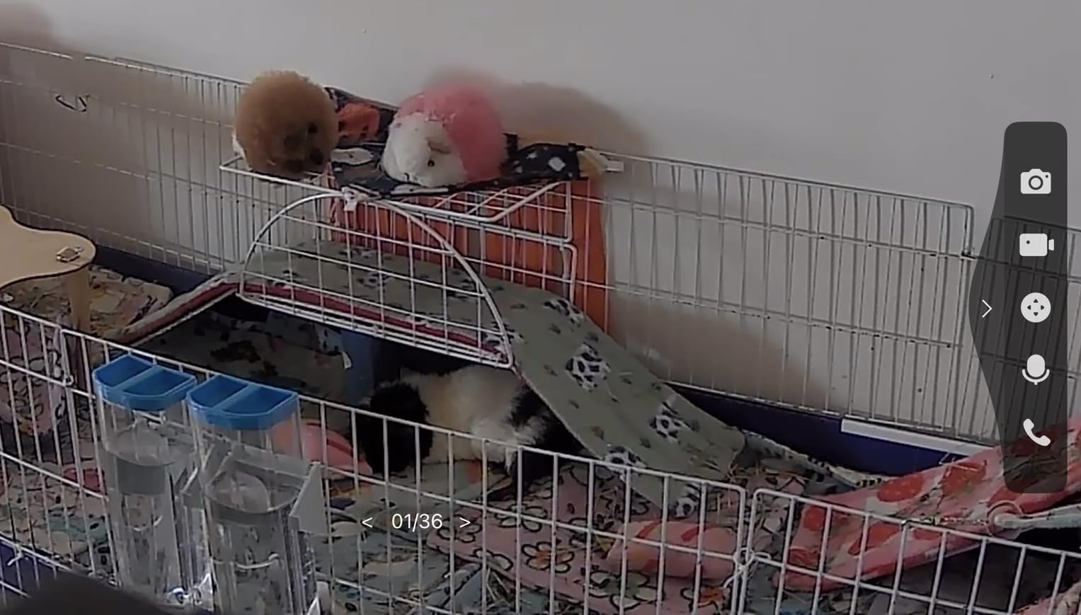 TP-Link Tapo Pan/Tilt Security Camera for Baby Monitor, Pet Camera w/Motion Detection, 1080P, 2-Way Audio, Night Vision, Cloud & SD Card Storage, Works with Alexa & Google Home (Tapo C200) customer photo 2