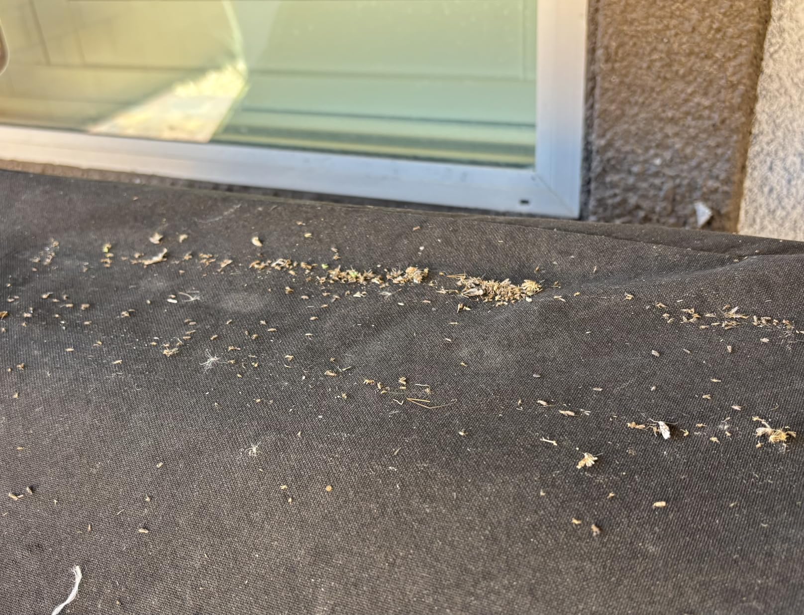 Lulu Home Electric Bug Zapper, Aluminium Indoor Insect Killer for Mosquito, Bug, Fly with Powerful 2800V Grid 20W Bulbs customer photo 1