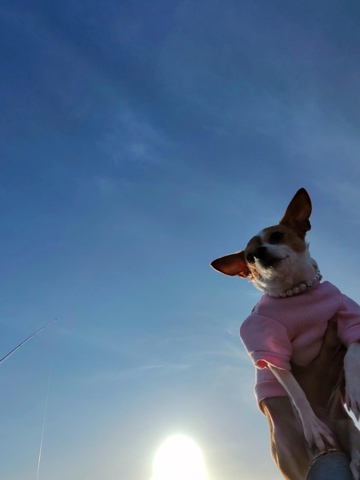 Oakley Meta HSTN, Clear | Smart AI Glasses for Men, Women - Performance for Sports, Athletes - Camera, Audio, Video - 8 Hour Battery - 3K HD Resolution - Clear to Grey Transitions® Lenses customer photo 1