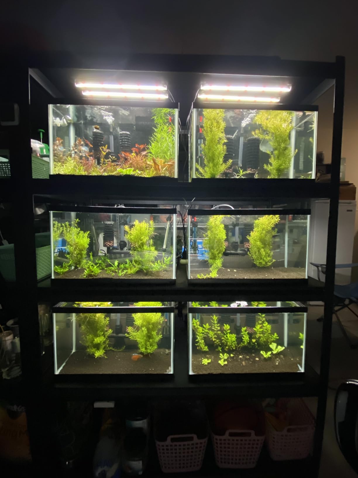 FZONE Pro Series Aquarium Dual Stage CO2 Regulator Adjustable Output Pressure with DC Solenoid and Integrated High Precision Needle Valve and Bubble Counter customer photo 1