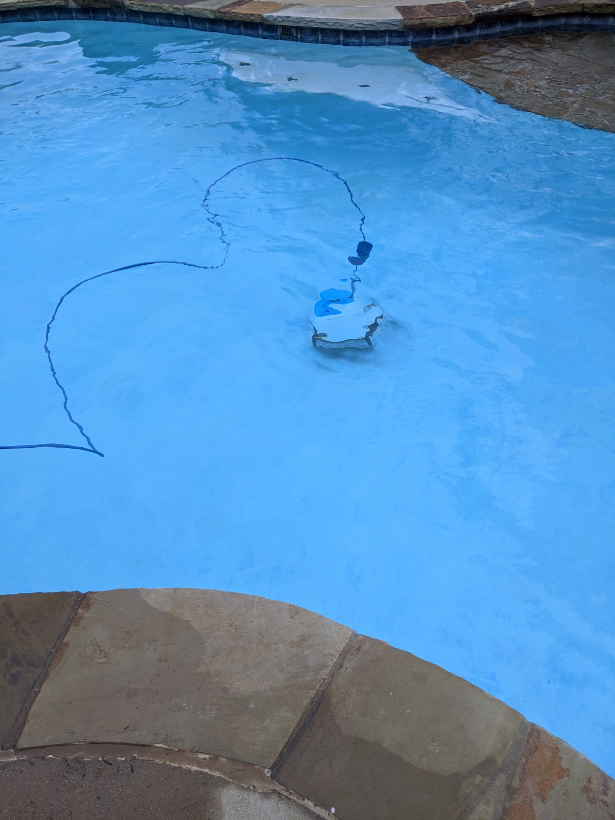 Dolphin Proteus DX3 Automatic Robotic Pool Vacuum Cleaner, Wall Climbing, Active Scrubber Brush, Ideal for In-ground Pools up to 33 FT in Length customer photo 1