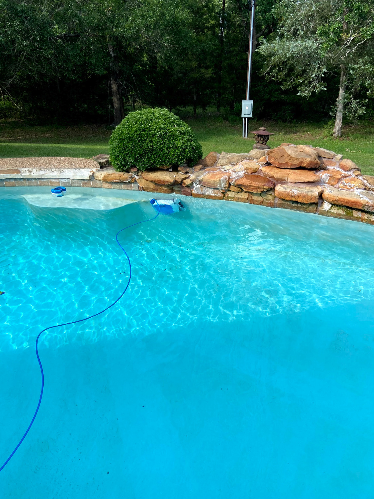 Dolphin Proteus DX3 Automatic Robotic Pool Vacuum Cleaner, Wall Climbing, Active Scrubber Brush, Ideal for In-ground Pools up to 33 FT in Length customer photo 2