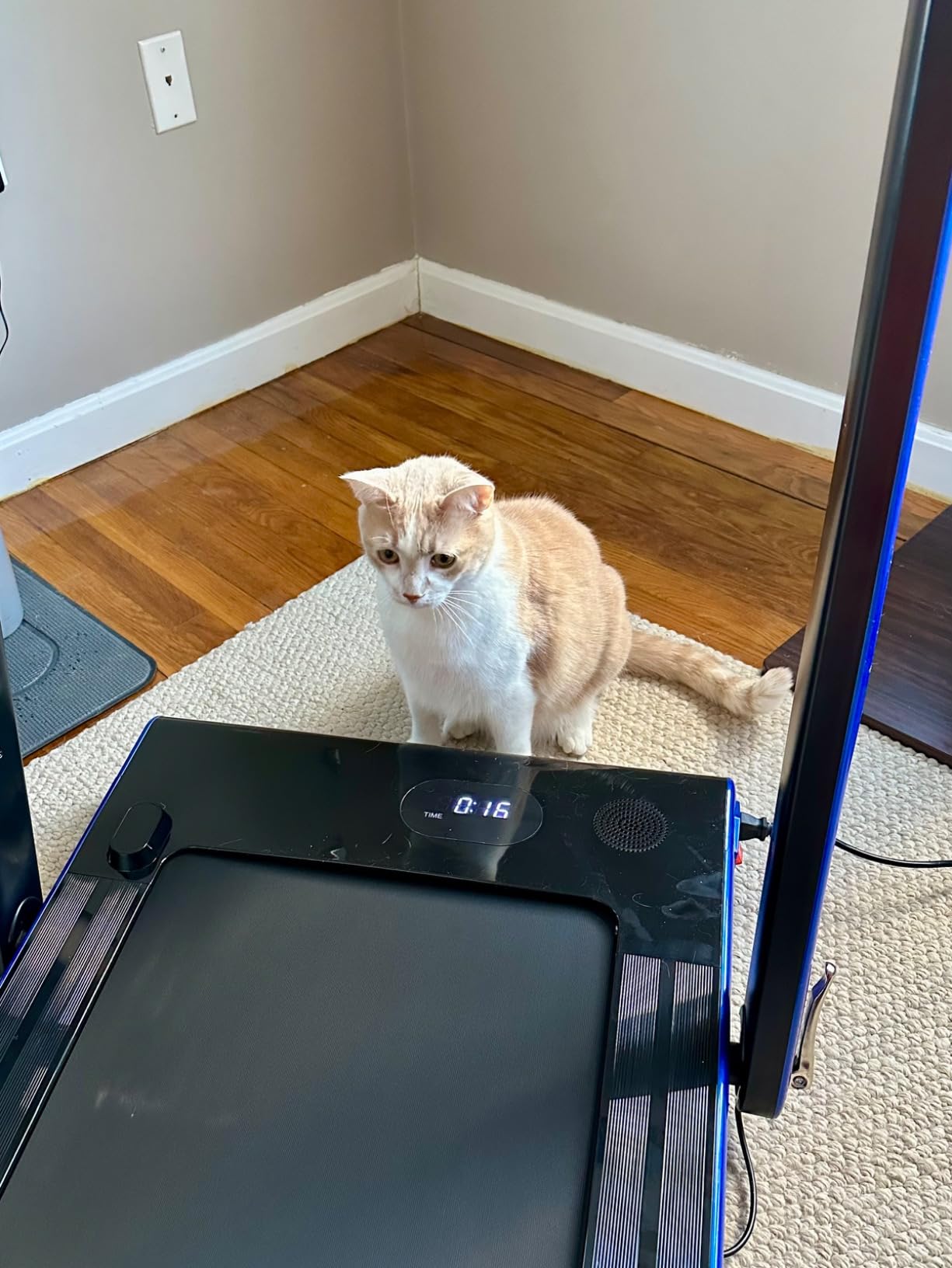 Goplus 2 in 1 Folding Treadmill with Dual Display, 2.25HP Superfit Under Desk Electric Pad Treadmill, Installation-Free, Blue Tooth Speaker, APP Control, Remote Control, Walking Jogging for Home customer photo 2