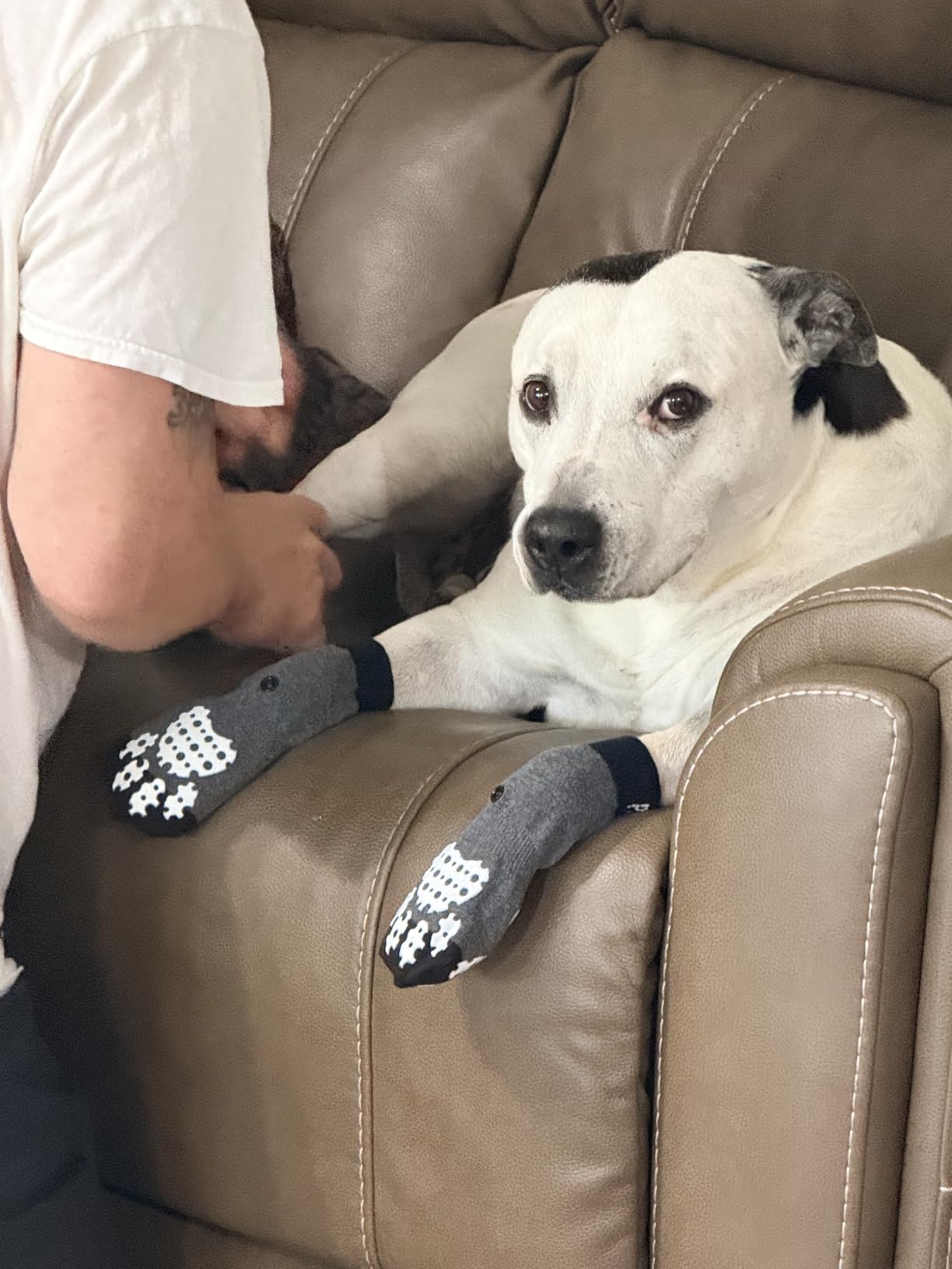 PUPTECK Anti-Slip Dog Socks with Double Sides Grips for Small Medium Large Dogs Hardwood Floors Prevents Licking, Dog Shoes for Hot Pavement Traction Control Paw Protector for Senior Dogs, Grey L customer photo 2