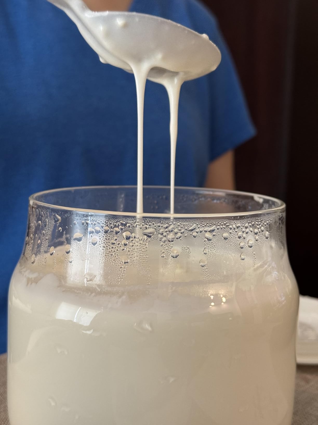 Bear Yogurt Maker, Greek Yogurt Maker Machine with Strainer and Timer Control, Stainless Steel Inner Pot, 2 Glass Jars 1 Quart customer photo 1