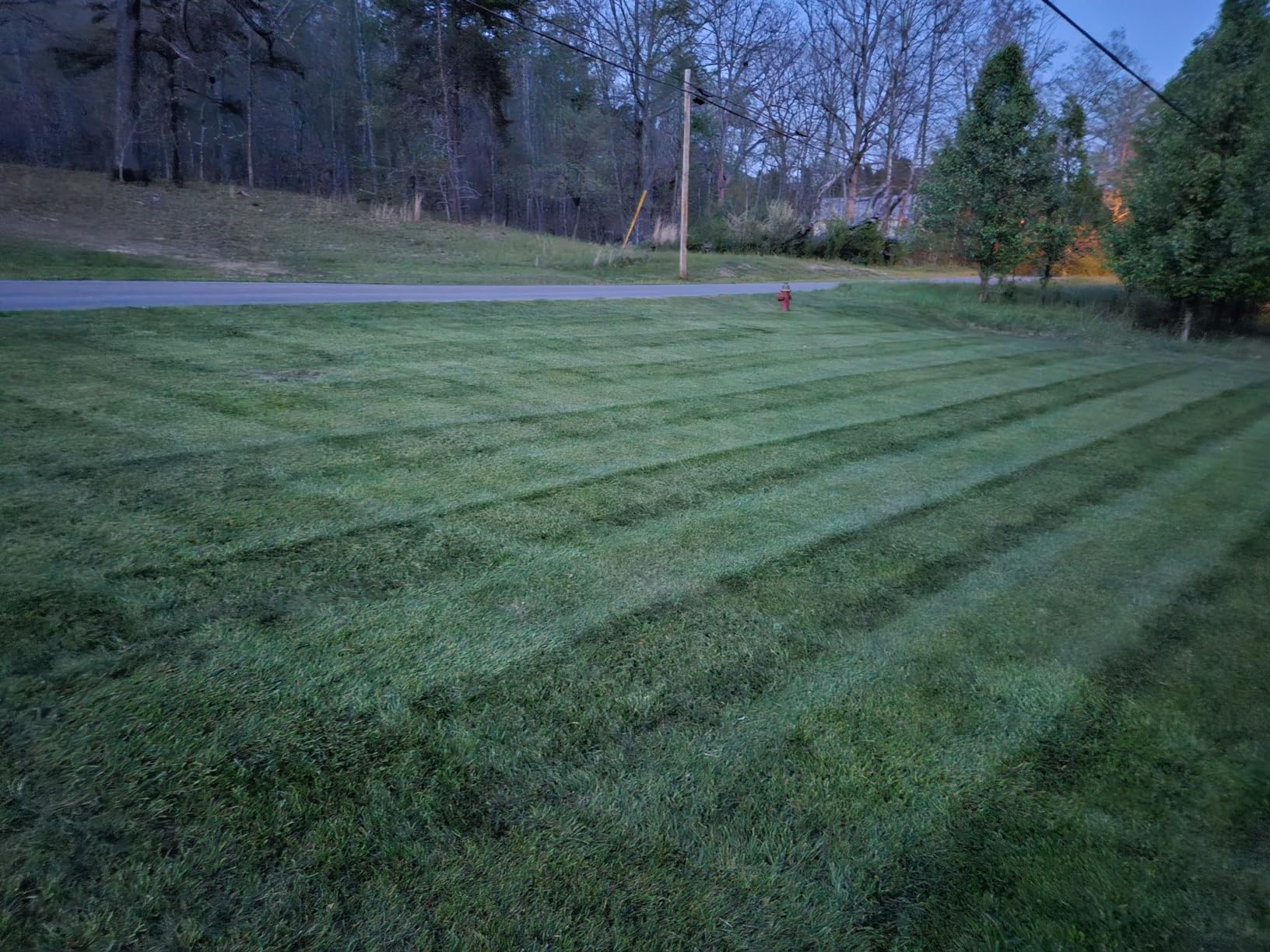 John Deere Tractor Grass Groomer Lawn Striping Kit - LP1001 customer photo 1