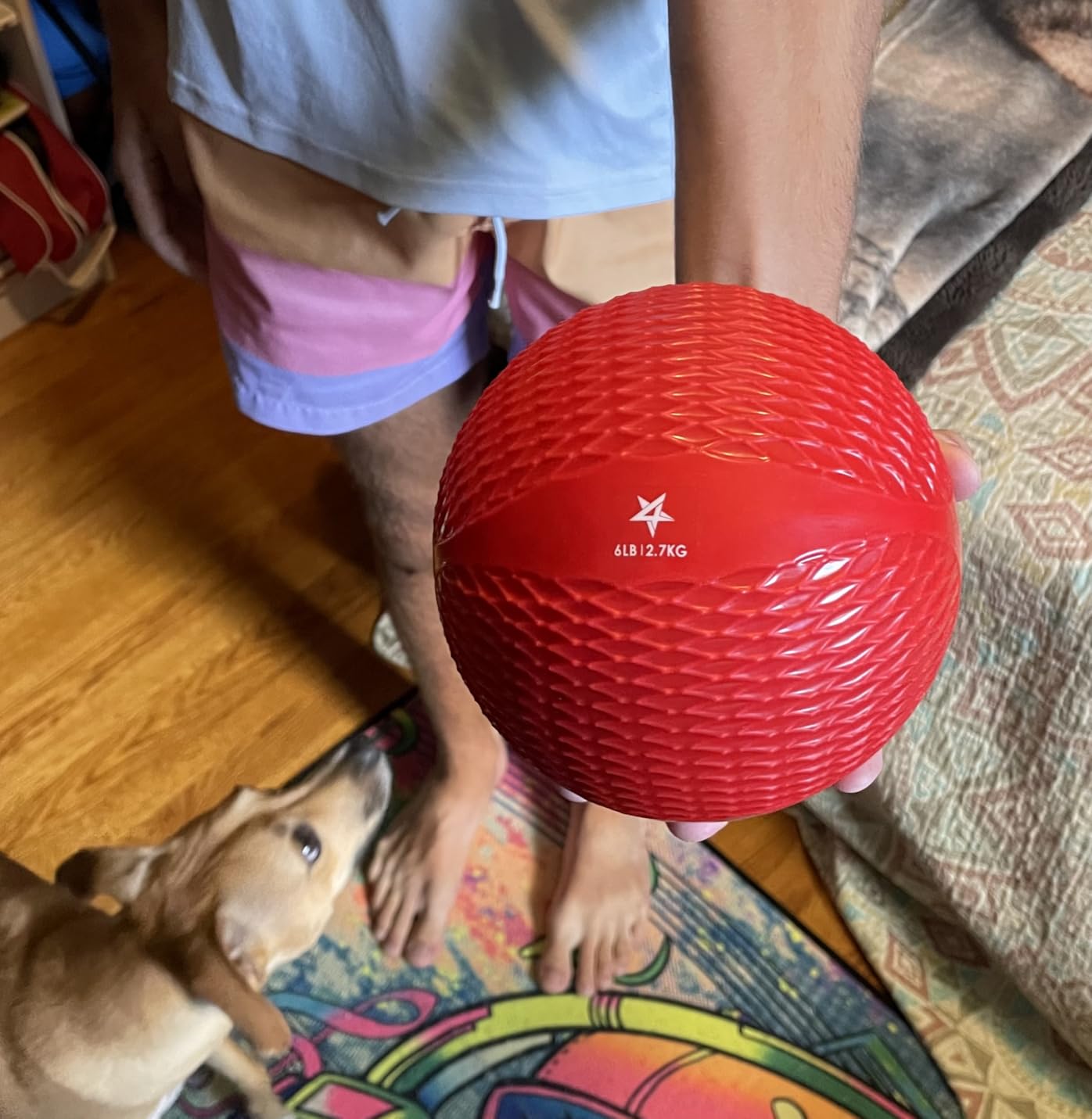 Yes4All Weighted Toning Balls for Exercise, Soft Medicine Balls for Exercise, Pilates, Yoga, Balance, Flexibility, 2-10lbs customer photo 2