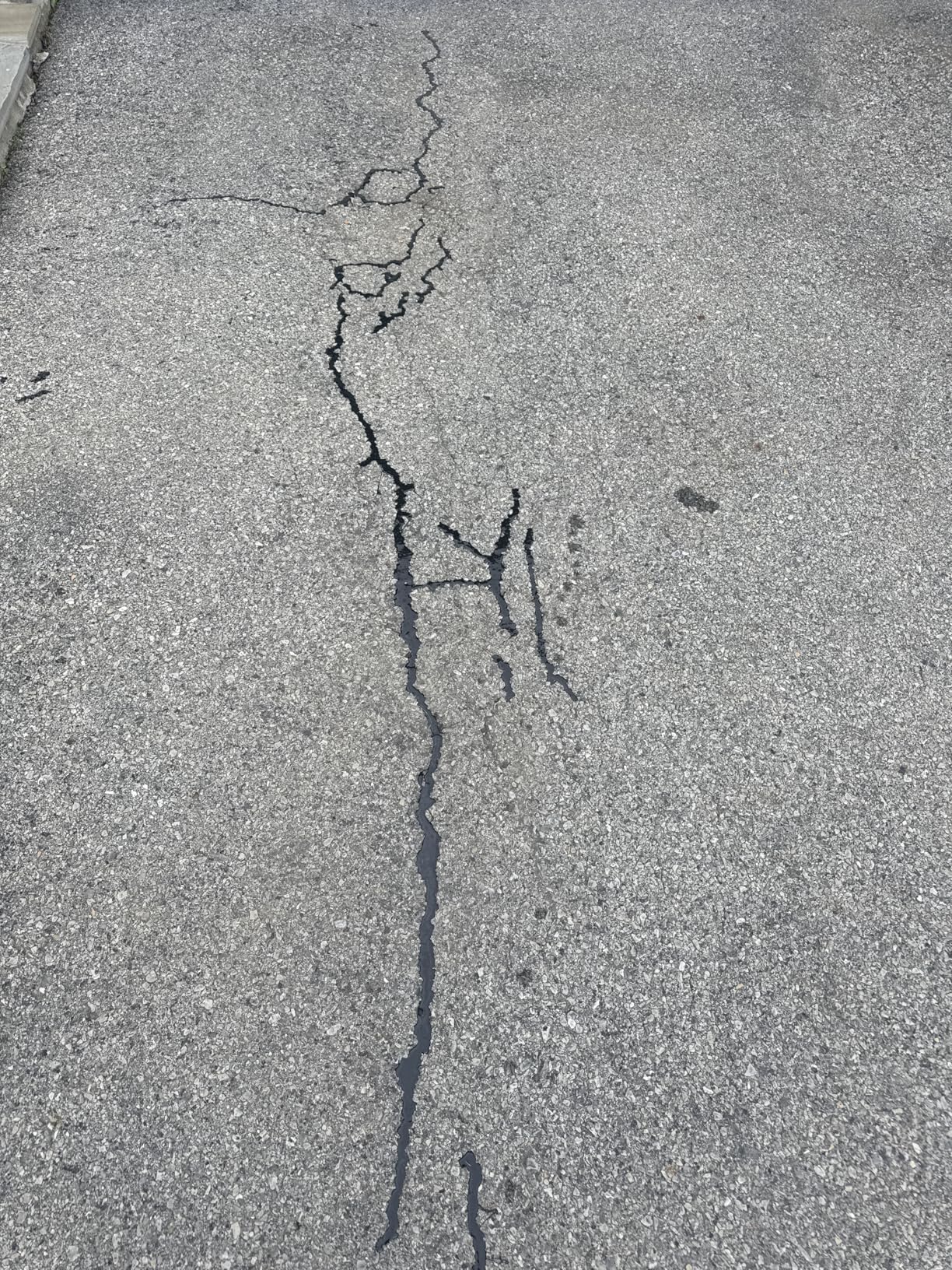 SIKA Sikaflex-410 Asphalt Sealant - Self-Leveling Hybrid Sealant for Filling Cracks in Asphalt Driveways, Roadways, and Pavements - 9 fl. oz. Cartridge, Fills Cracks up to 1.5 in. Wide customer photo 2