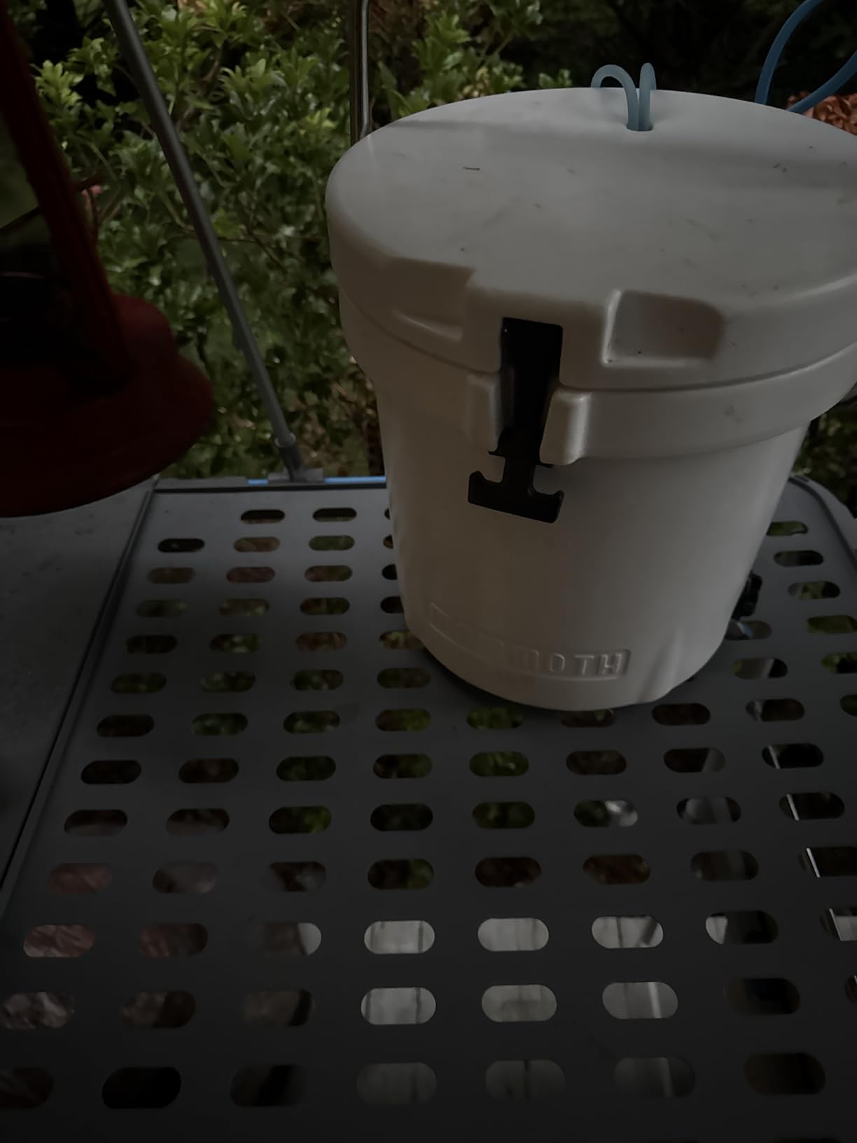 Mammoth Live Bait Bucket, Insulated Bait Bucket with 10 Quart Capacity, Great for Daily Trips and Fishing Tournaments customer photo 1