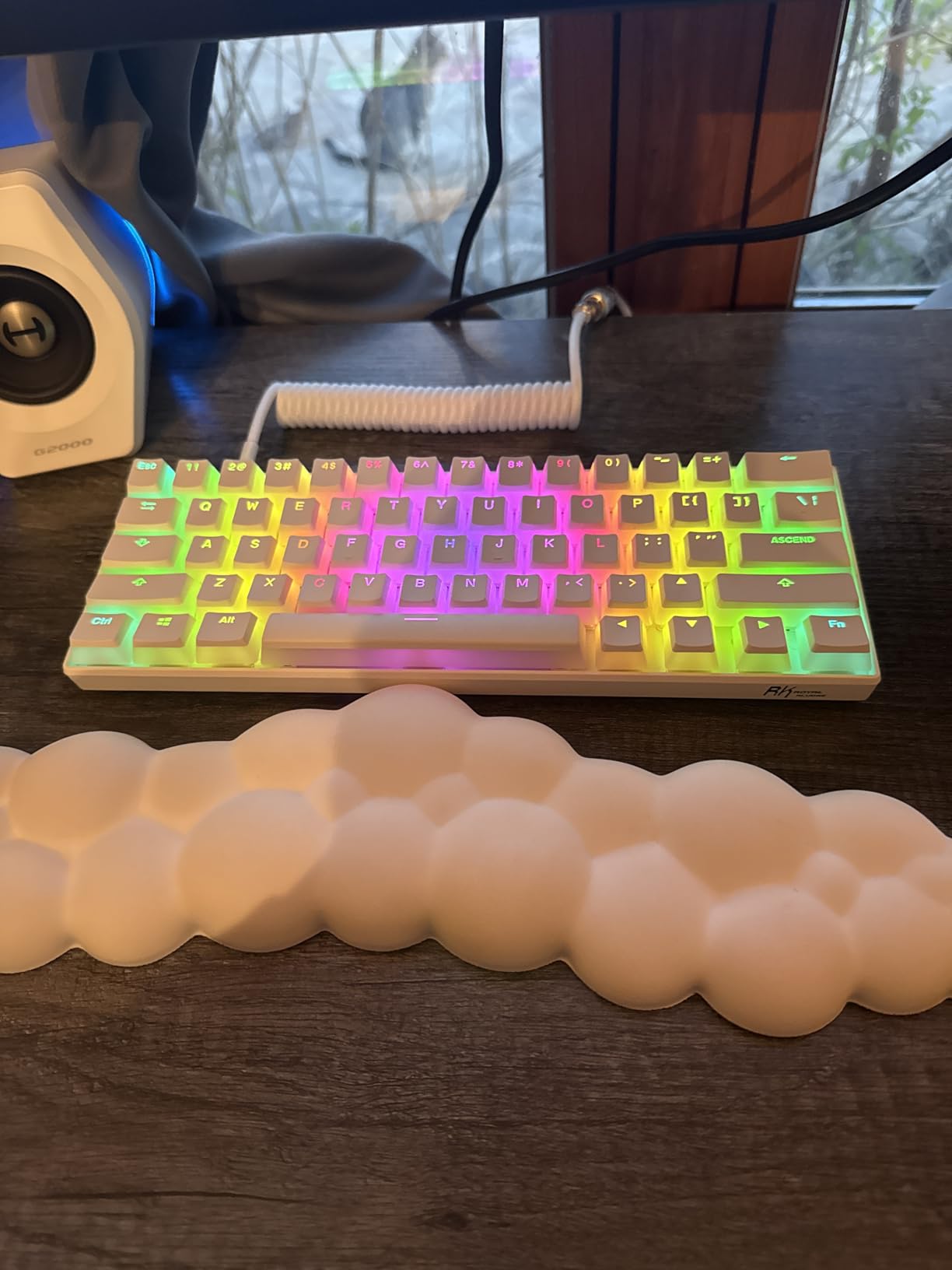 RK ROYAL KLUDGE RK61 Wired 60% Mechanical Gaming Keyboard Programmable QMK/VIA RGB Backlit 61 Keys Ultra-Compact Hot Swappable Brown Switch Black customer photo 1