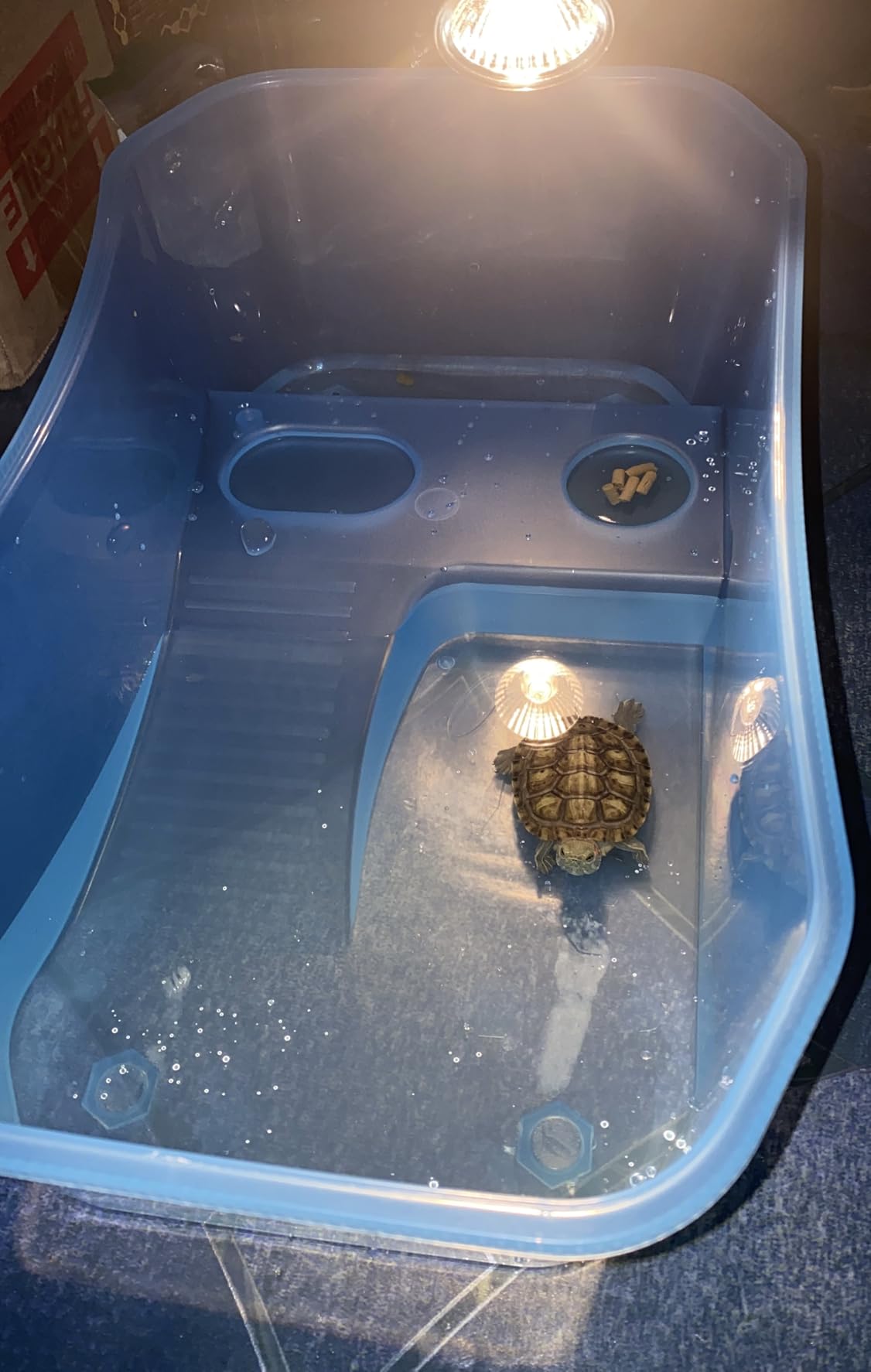 Rypet Turtle Tank Aquarium - Reptile Habitat, Turtle Habitat, Reptile Aquarium Tank for Crayfish Crab (Excluding Accessories) Blue customer photo 1