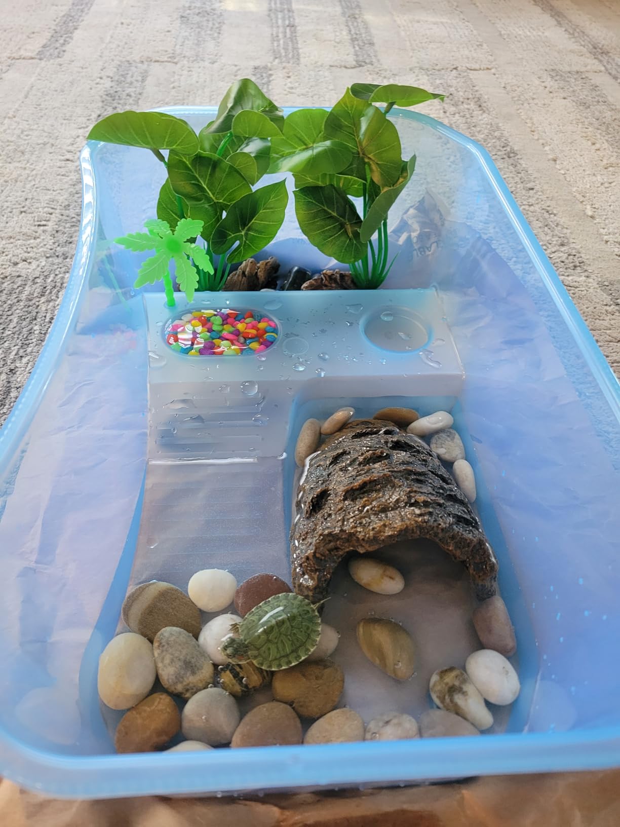 Rypet Turtle Tank Aquarium - Reptile Habitat, Turtle Habitat, Reptile Aquarium Tank for Crayfish Crab (Excluding Accessories) Blue customer photo 2