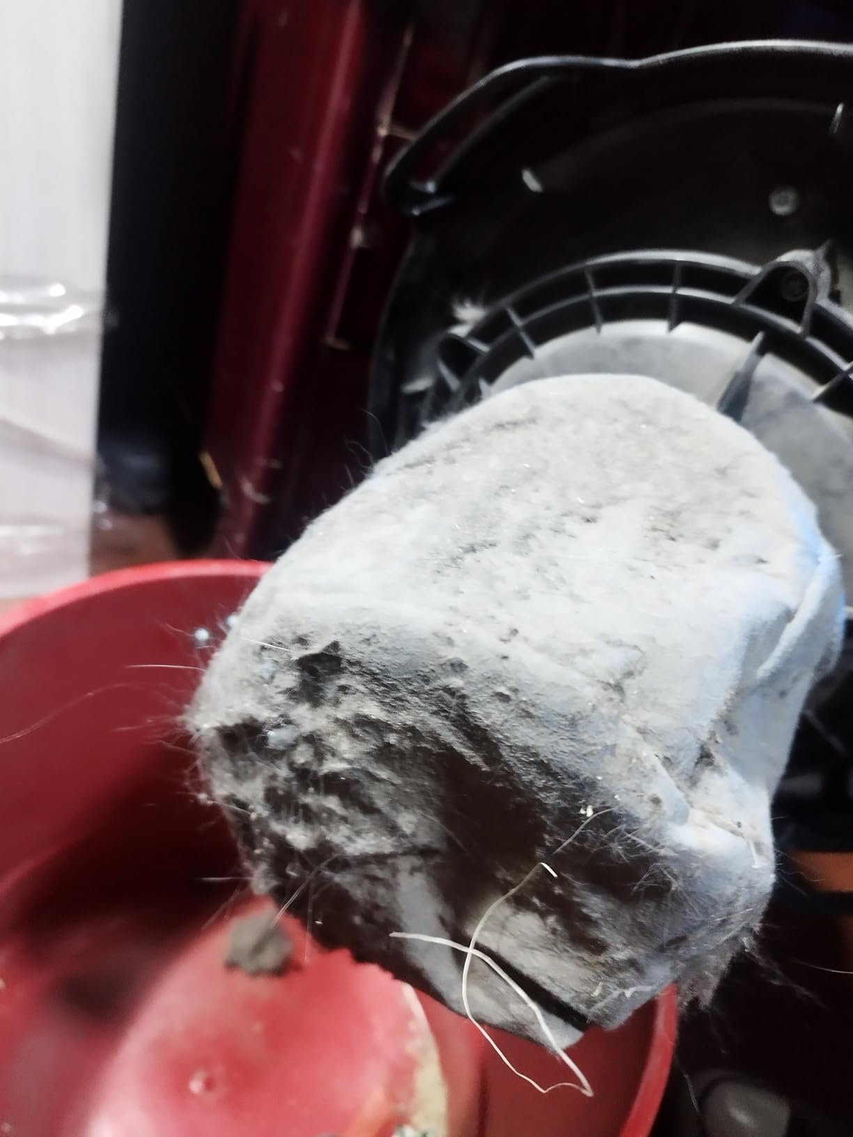 Vacmaster 2.5-Gallon 2 Peak HP Wall Mountable Wet/Dry Vacuum VOM205P customer photo 2