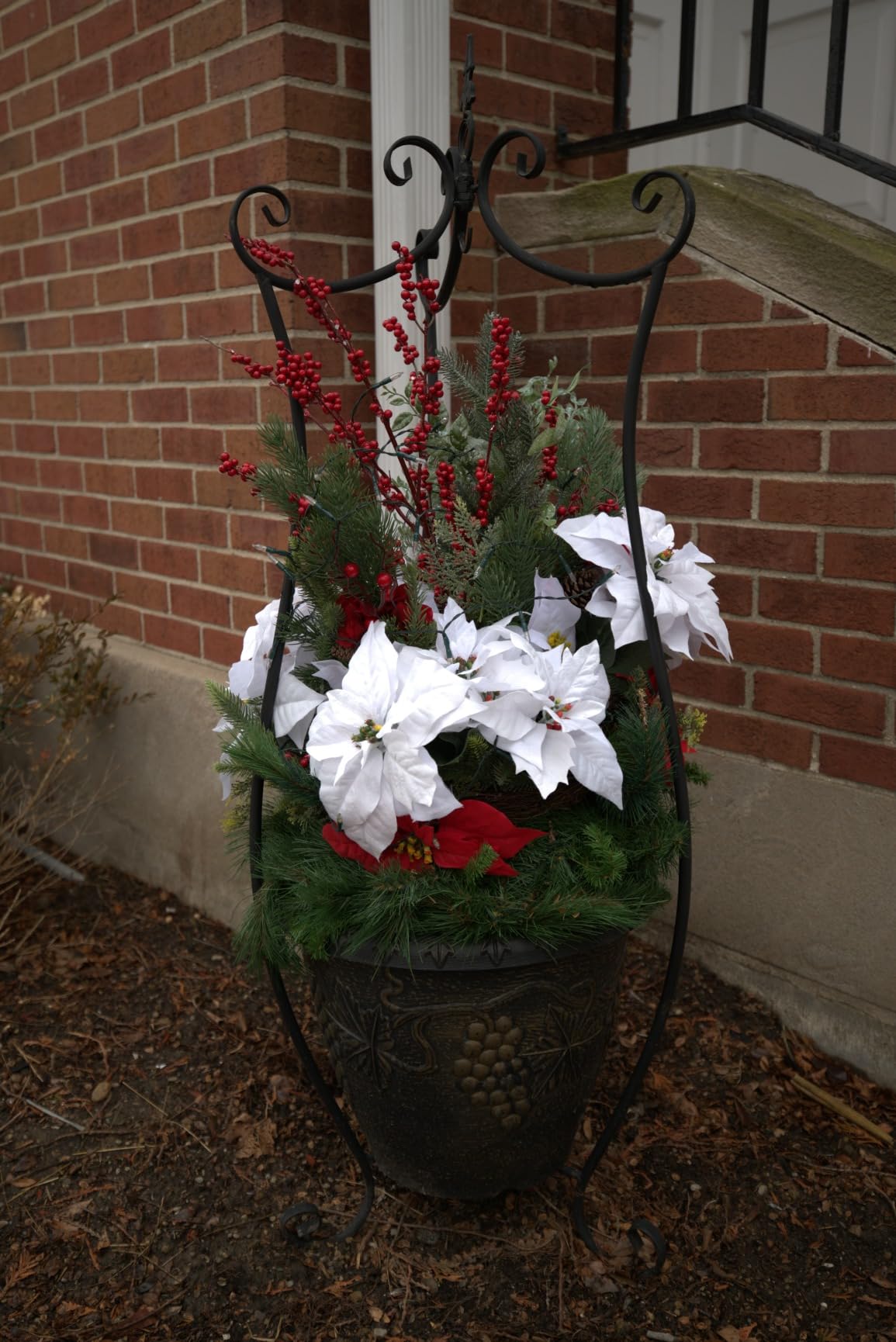 Nikon Z 5 Full-Frame Mirrorless Camera with Compact 24-50mm Zoom Lens (Nikon USA Model) customer photo 2