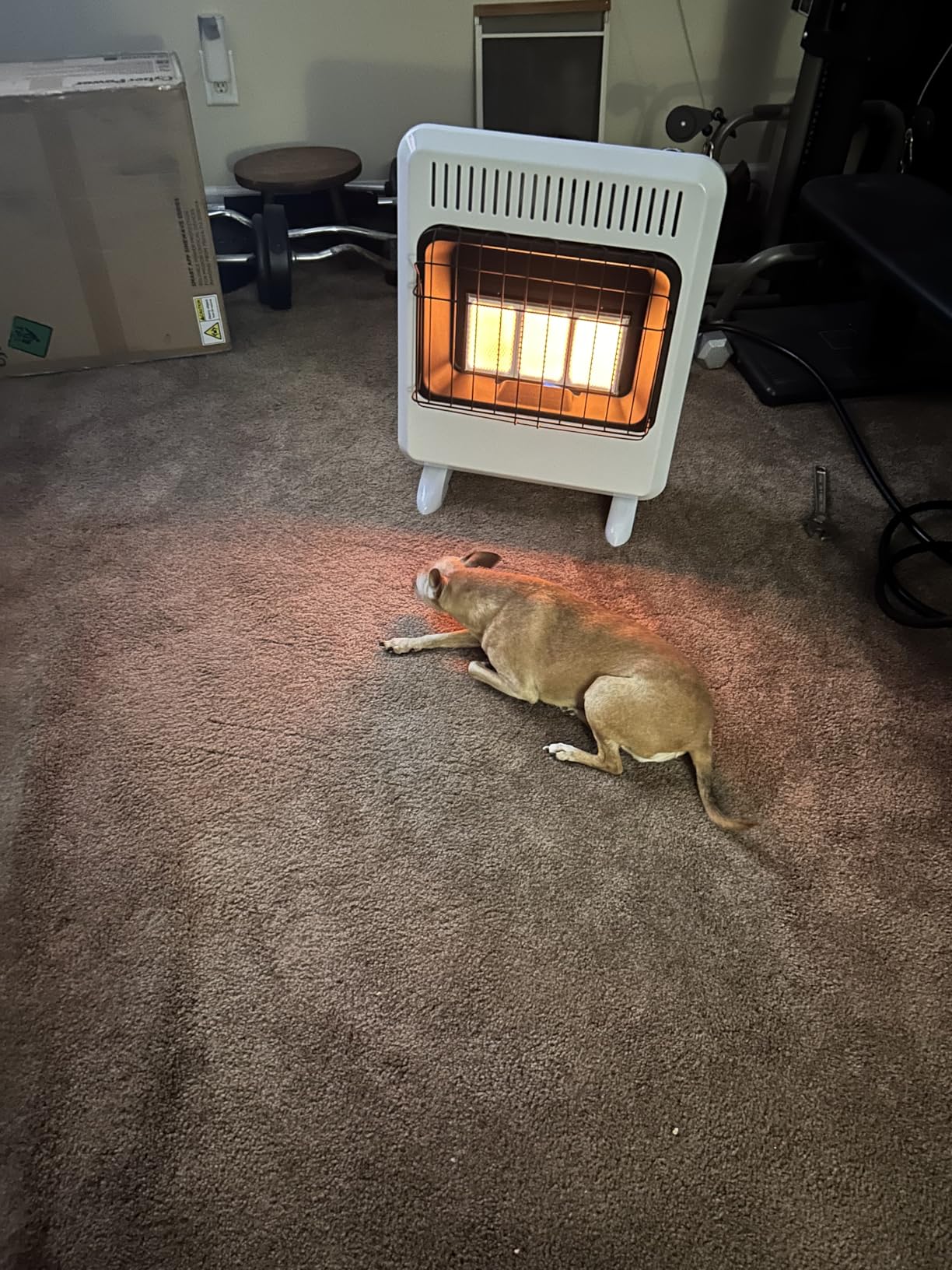 20,000 BTU Vent Free Radiant Dual Fuel Heater customer photo 1