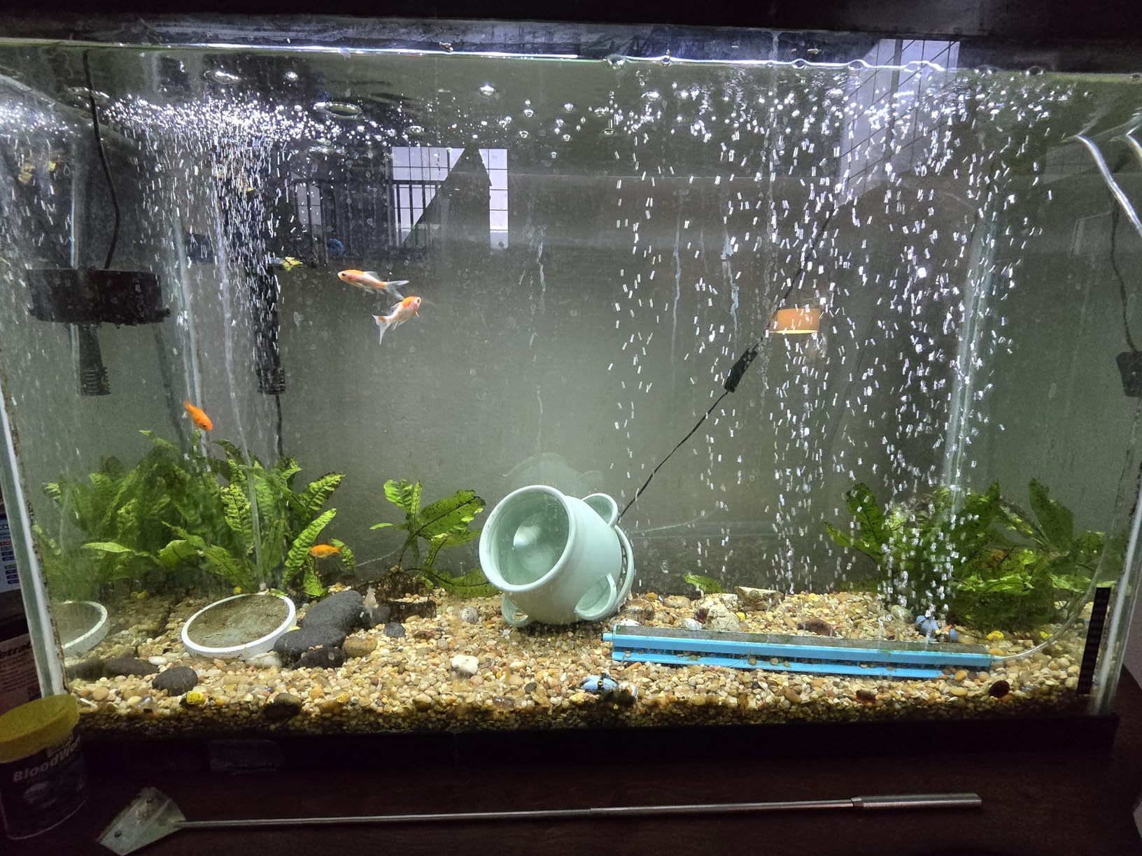 AquaMiracle Aquarium Air Pump Commercial Air Pump with Aluminum Housing, 600/1000/1200/1750GPH Fish Tank Bubbler Pond Aerator for Aquariums, Ponds, Hydroponics customer photo 2