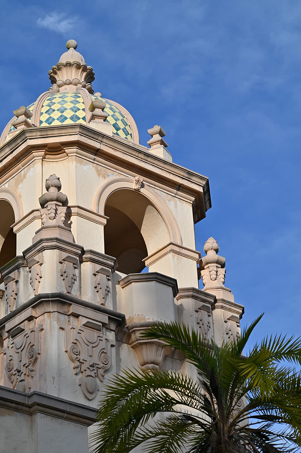 Nikon Z 6II Versatile Full-Frame Mirrorless Stills/Video Hybrid Camera (Body Only) customer photo 1