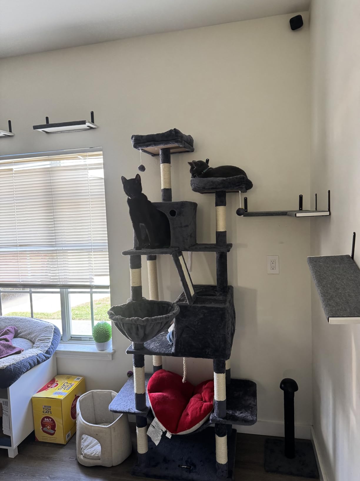 Feandrea Cat Tree, 81.1-Inch Large Cat Tower, Multi-Level Plush Condo with 13 Scratching Posts, 2 Perches, 2 Caves, Basket, Hammock, Pompoms, Smoky Gray UPCT190G01 customer photo 1