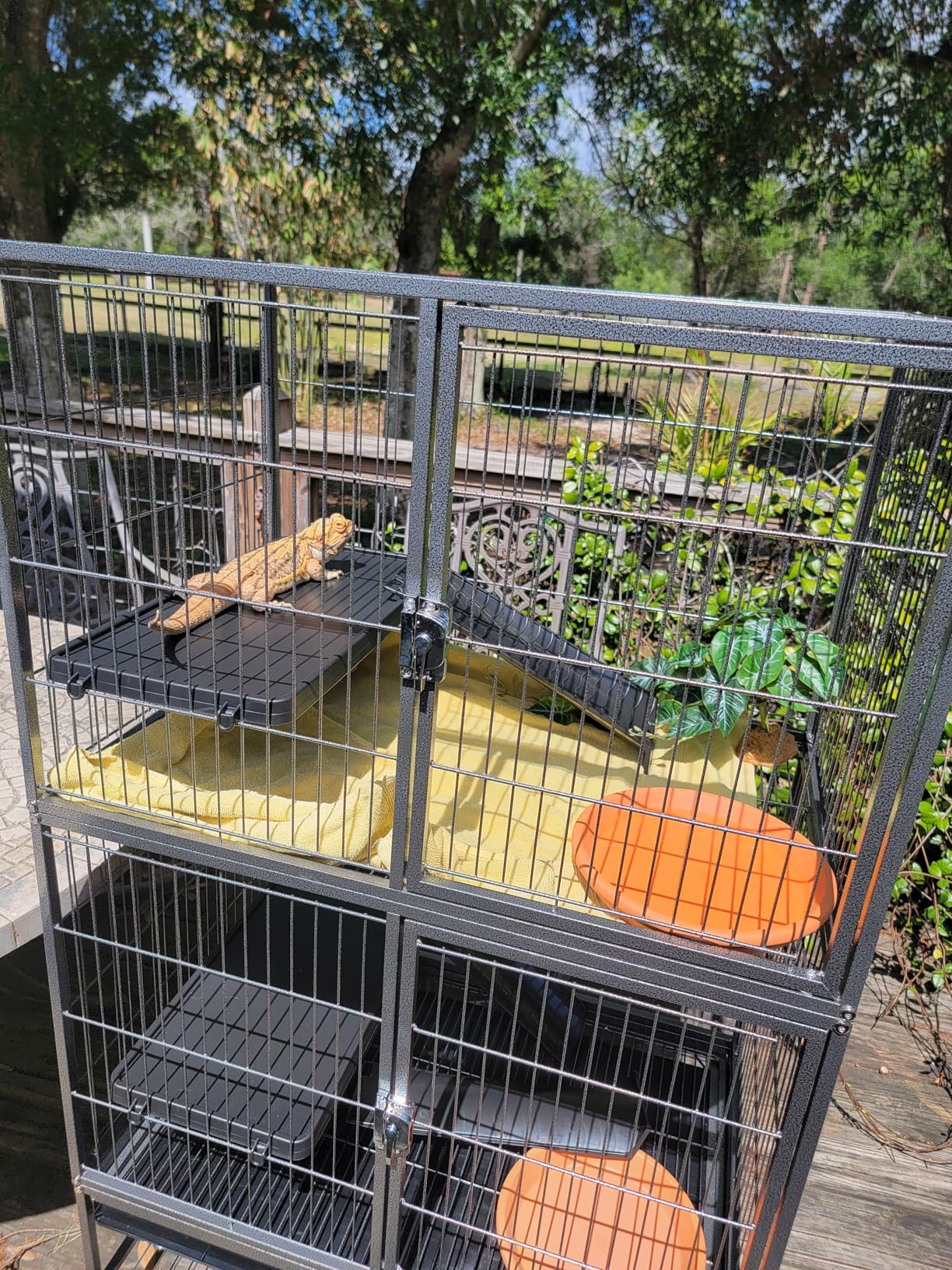 Yaheetech 54'' Rolling Ferret Cage Large 4-Tiers Chinchilla Cage Small Animal Cage for Adult Rats/Guinea Pigs/Chinchilla/Sugar Glider w/ 2 Removable Ramps/Hammock, Black customer photo 1