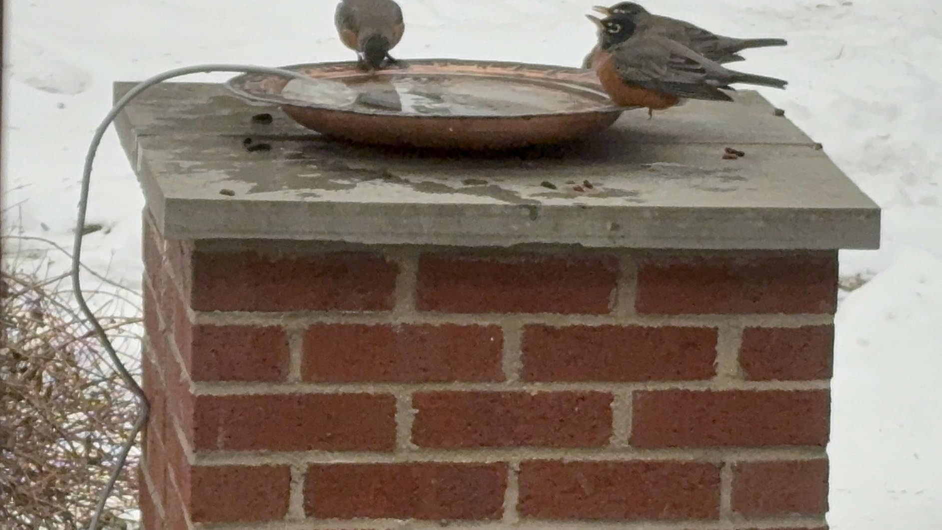 Birdbath Deicer, Waterproof Birdbath Heater for Outdoor in Winter with Thermostatically Controlled, Constructed of Cast Aluminum Immersion Deicer for Garden Patio Yard and Lawn, 50 Watt, Grey customer photo 1