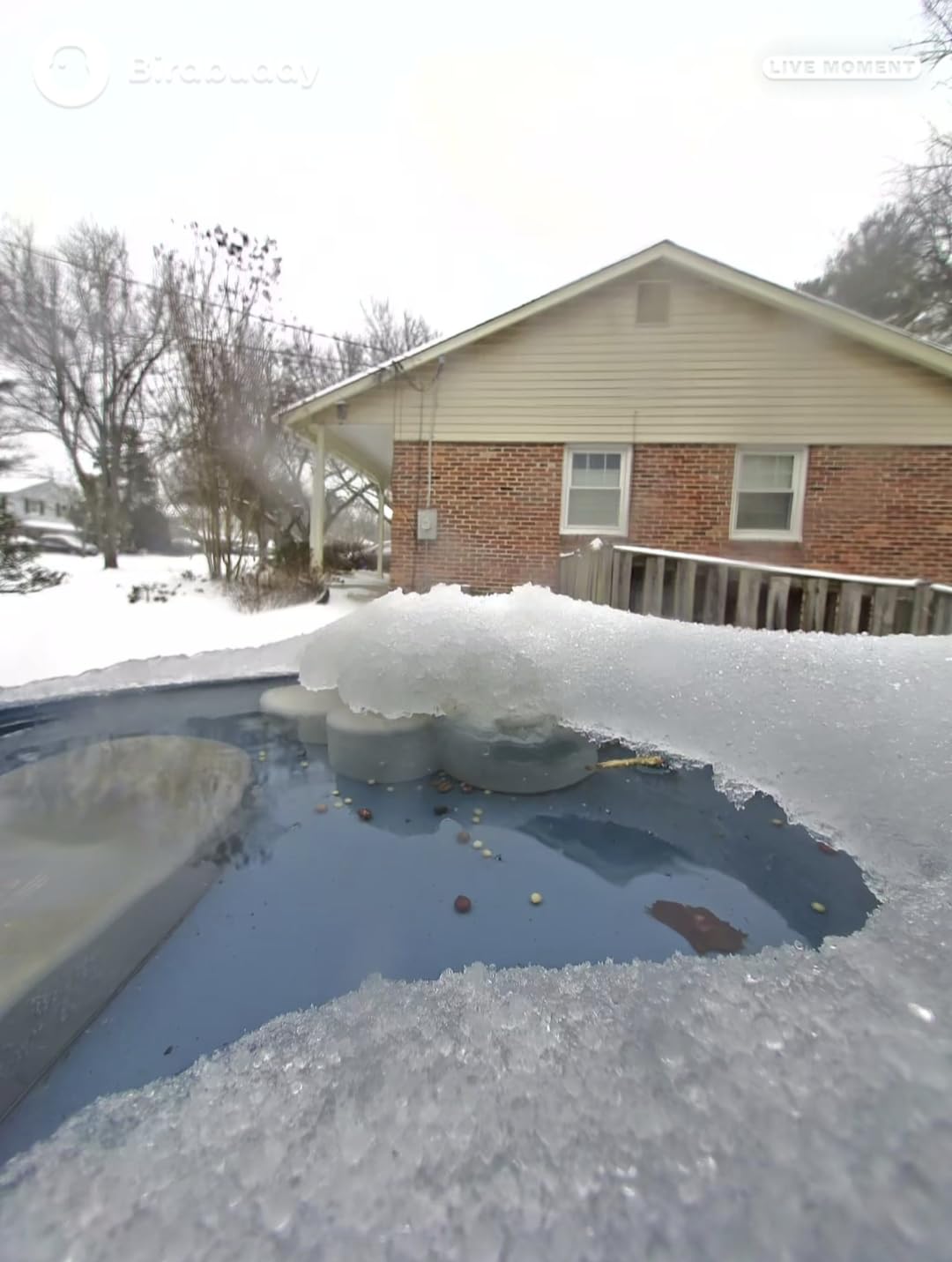 Birdbath Deicer, Waterproof Birdbath Heater for Outdoor in Winter with Thermostatically Controlled, Constructed of Cast Aluminum Immersion Deicer for Garden Patio Yard and Lawn, 50 Watt, Grey customer photo 2