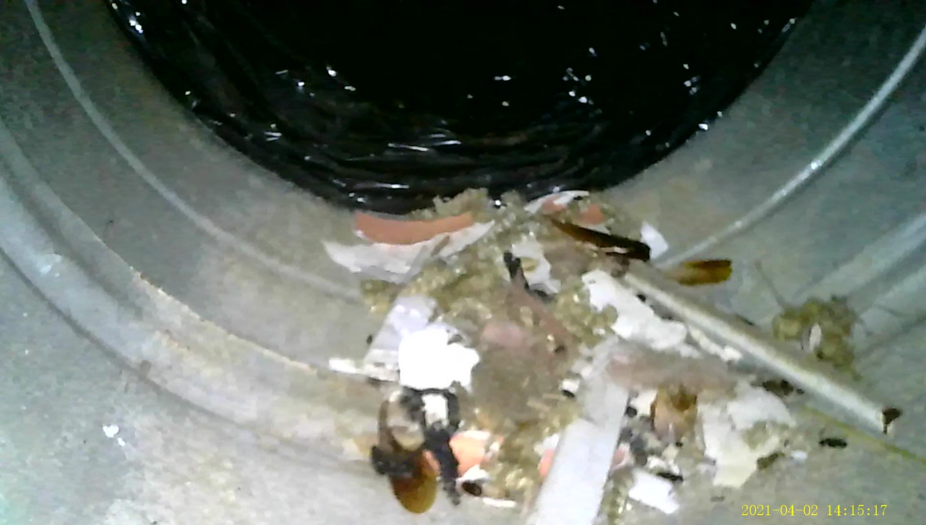 50ft Sewer Camera, Teslong 1080P Drain Plumbing Snake Inspection Camera with Light, 50 ft Flexible Borescope Endoscope Duct Fiber Optic Scope Cam customer photo 2