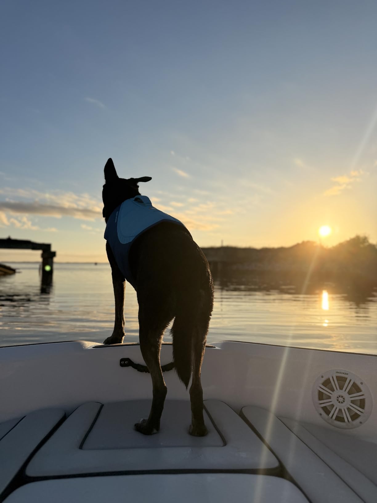 Ruffwear, Float Coat Dog Life Jacket, Premium Buoyancy Swim Vest with Lift Handle, Secure Fit & Reflective Trim, Adjustable Flotation for Swimming, Boating, & Outdoor Adventures, Wave Orange, Small customer photo 2