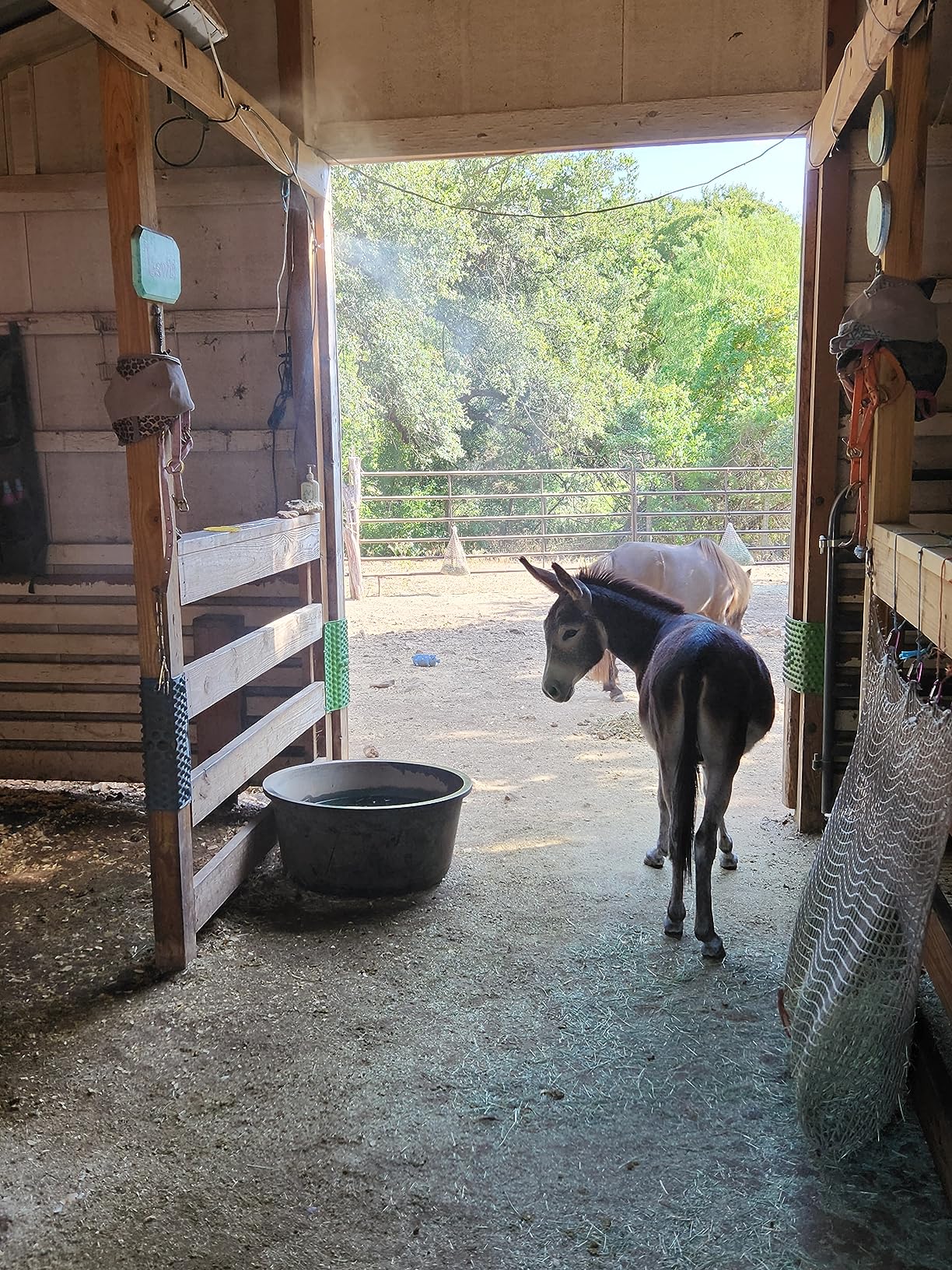 lifeegrn Misting Cooling System, Outdoor Misting System for Patio, 40 FT Misting Line+10 Mist Nozzles+3/4