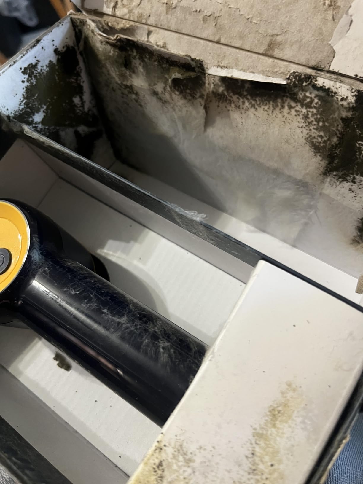 Philips Sneaker Cleaner, Trainer Cleaning Kit with 3 Brush Heads for Different Materials, Effective Cleaning, Portable, Battery Powered, Safe for your Sneakers, Simple to Use, Blue (GCA1000/60) customer photo 1