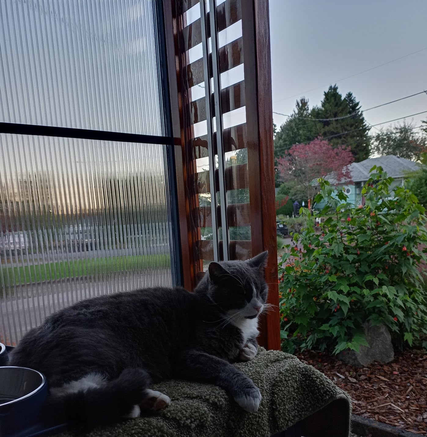 One Piece 8mm Twin Wall Polycarbonate Greenhouse Panels, 8mm Polycarbonate Sheet, Clear Plastic Roofing Panels, Hurricane Shutters, Clear Greenhouse Replacement Panels, Light Weight customer photo 1