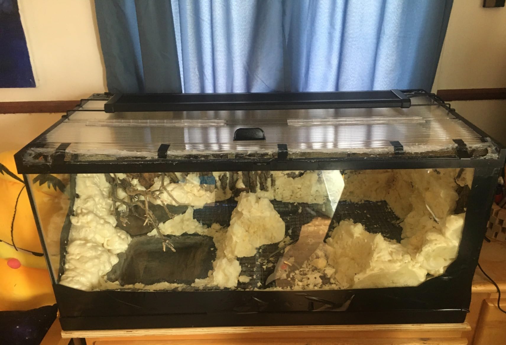 One Piece 8mm Twin Wall Polycarbonate Greenhouse Panels, 8mm Polycarbonate Sheet, Clear Plastic Roofing Panels, Hurricane Shutters, Clear Greenhouse Replacement Panels, Light Weight customer photo 2