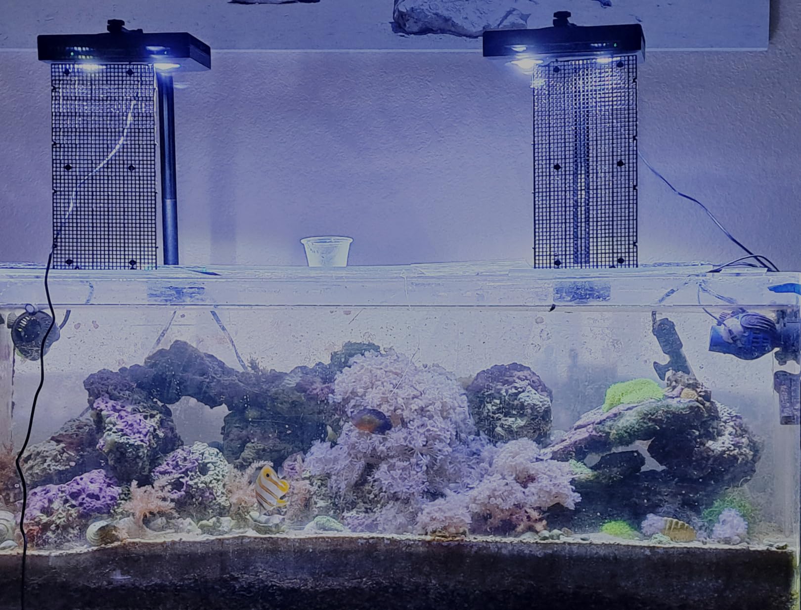 Aquarium Light - 95 Watt Sunrise Sunset Moonlight Coral Reef Light Dimmable Full Spectrum for Marine Tanks,Saltwater Tank Light with Timer (Brackets) customer photo 2