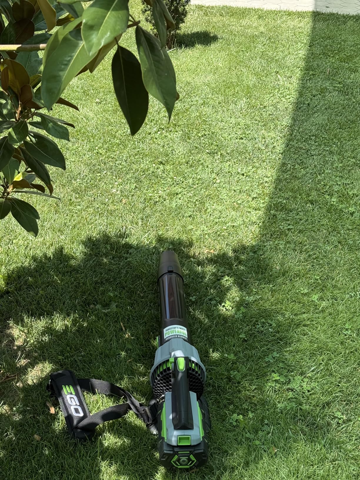 EGO POWER+ Leaf Blower, Cordless Electric 615 CFM, Battery and Charger Not Included - LB6150 customer photo 1