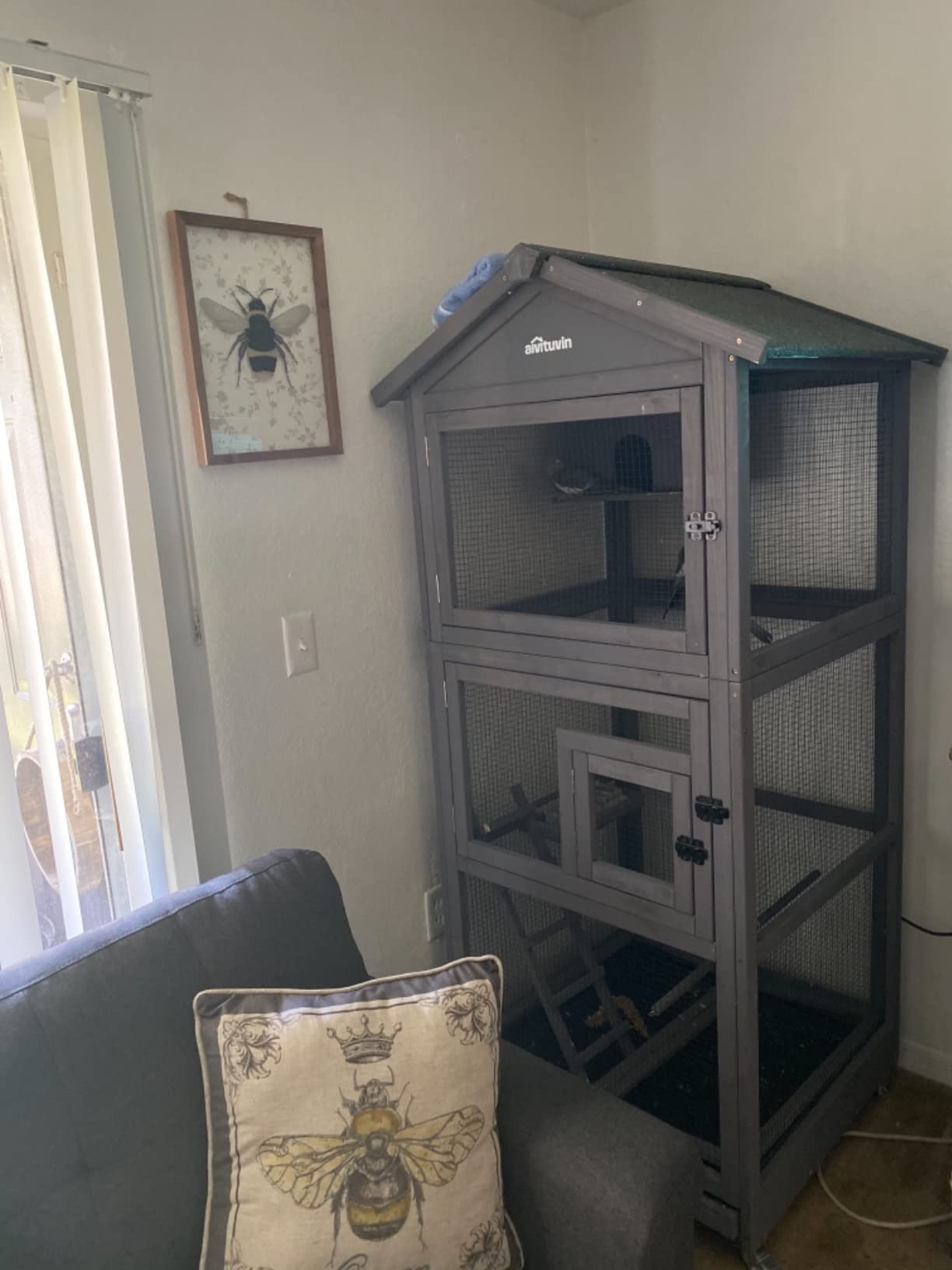 Aivituvin Outdoor Bird Cage Large Wooden Bird Aviary with Perch for Parakeet,Macaw and Any Small Birds,Wire Netting Above The Tray,Prevent Escape customer photo 1