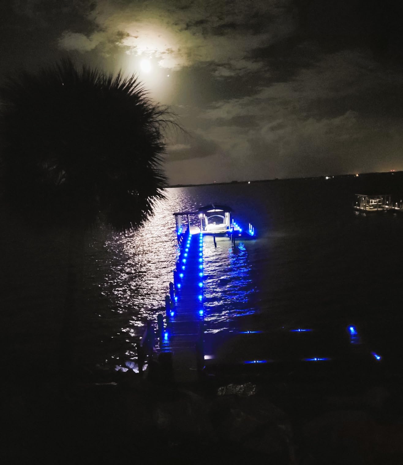 VOLISUN Solar Driveway Lights Dock Deck Lights 12 Pack, 2 Colors in 1, LED Solar Powered Waterproof Outdoor Warning Step Light (White/Blue), Auto On/Off customer photo 2