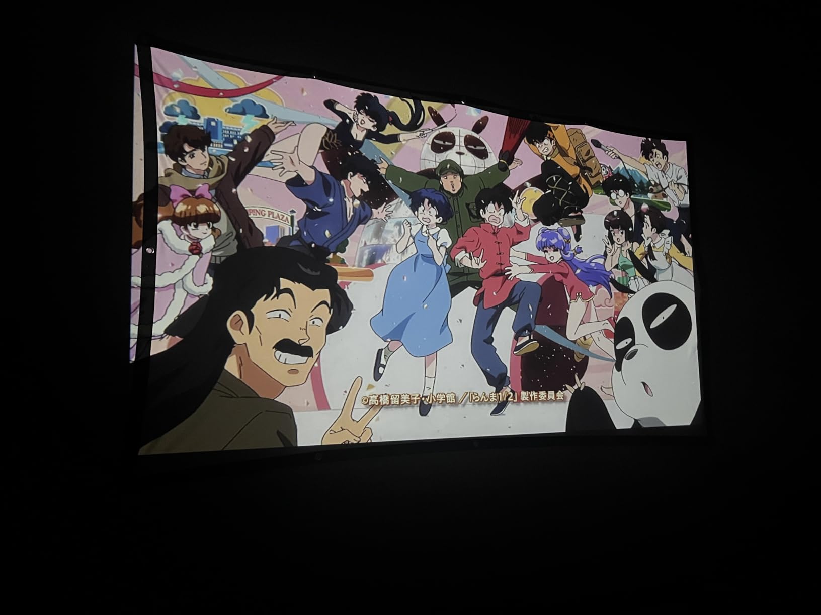 AAJK Outdoor Projector Screen 100 inch, Washable Projector Screen 16:9 Foldable Anti-Crease Portable Projector Movies Screen for Home Theater Outdoor Indoor Support Double Sided Projection customer photo 2