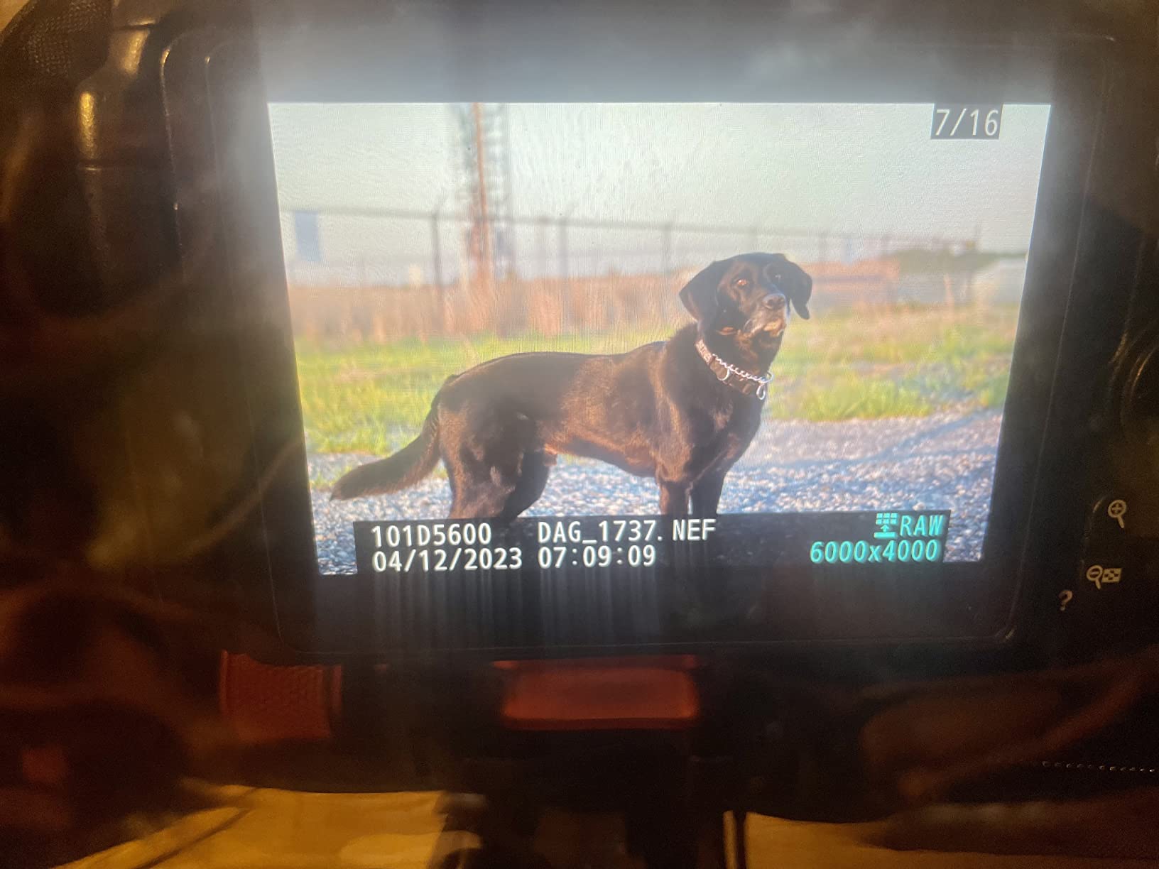 Professional Waterproof Camera Rain Cover for Canon for Nikon for Sony for Fujifilm and More DSLR Mirrorless Cameras with Lens, Camera Accessories for Photography customer photo 1