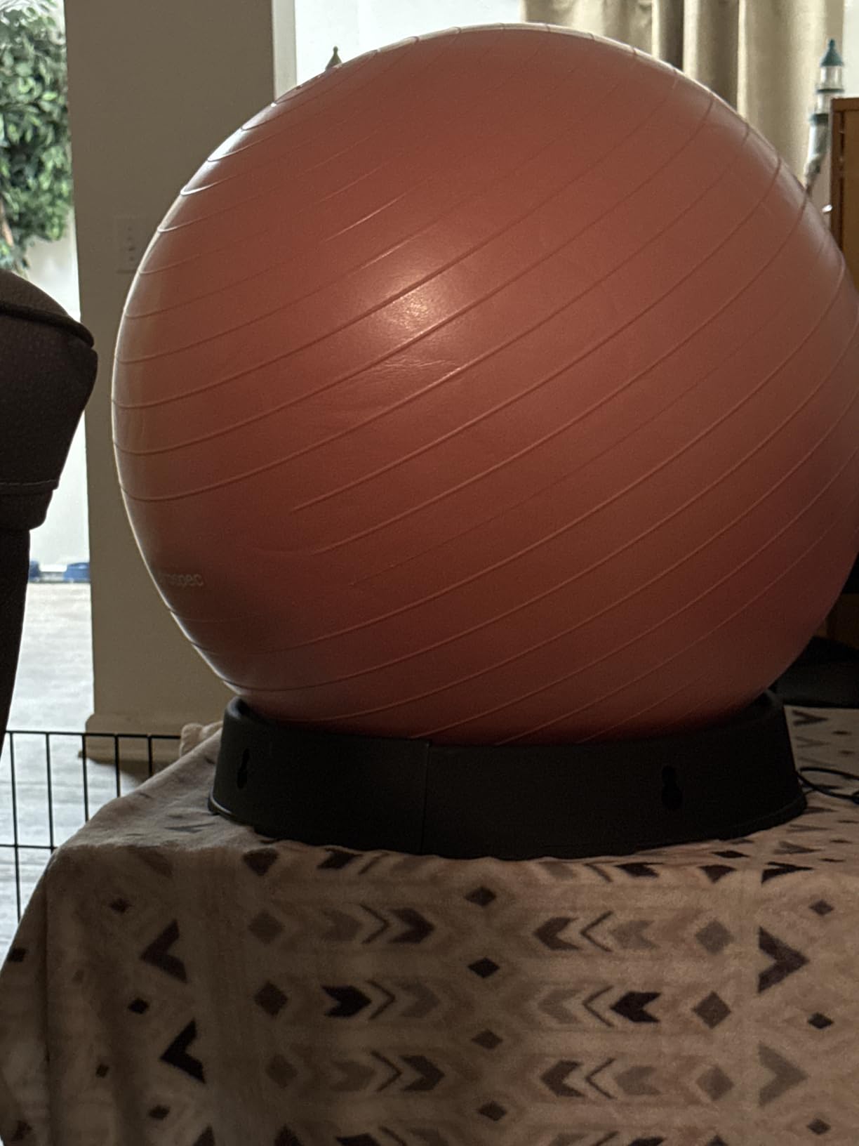 Retrospec Luna Exercise Ball with Pump - Anti-Burst Fitness Equipment for Yoga, Core Training & Stability - Home Gym Swiss Ball for Office & Pregnancy customer photo 2