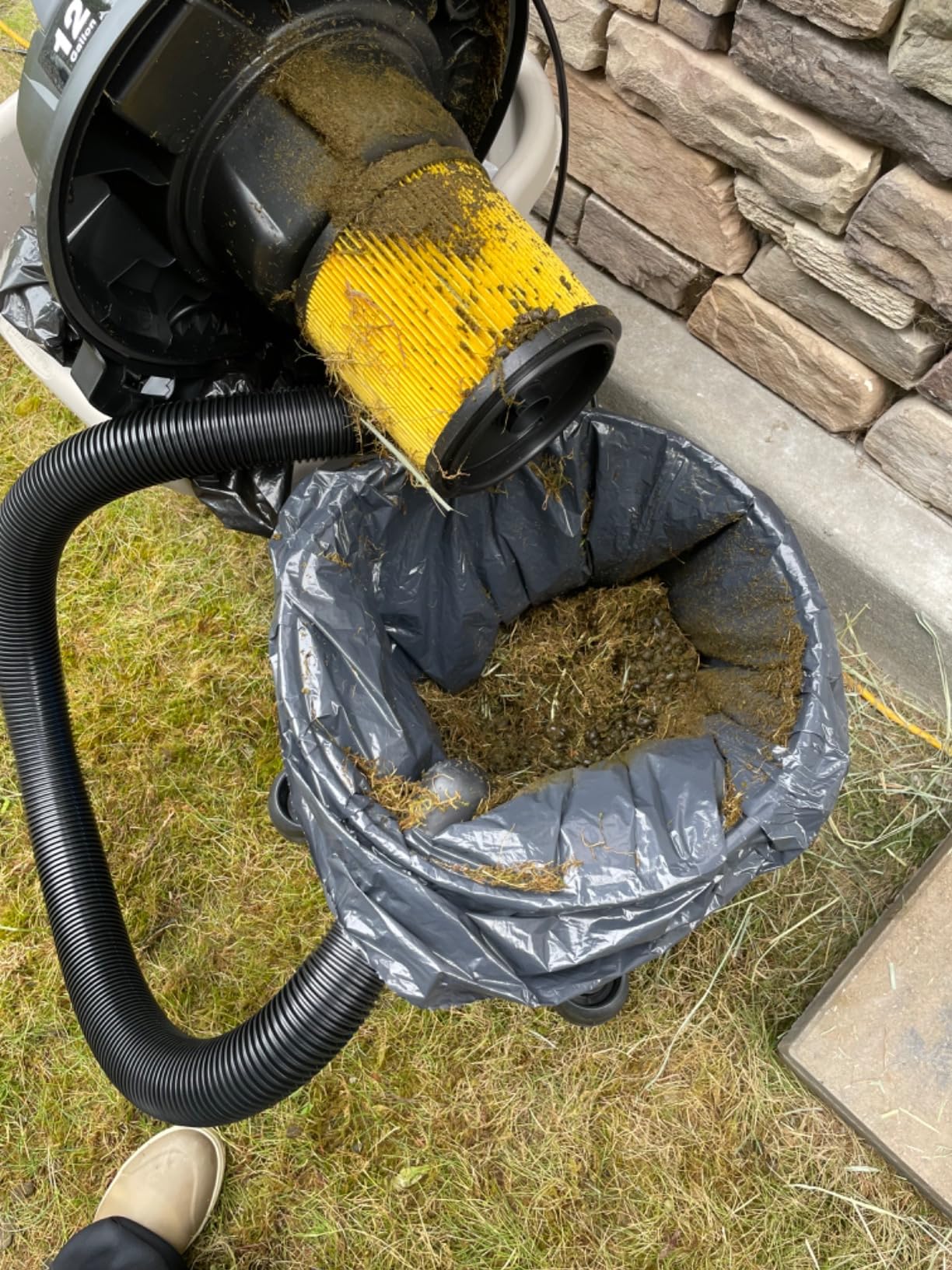 Vacmaster Wet/Dry Vacuum with Detachable Blower 6 Gallon 5 Peak HP customer photo 2