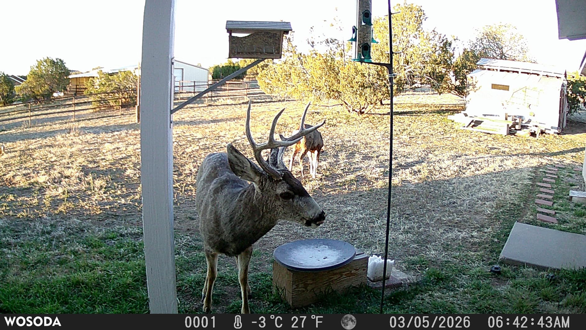 WOSPORTS Trail Camera,56MP 4K 0.2S Trigger Motion Activated,Game Camera with Night Vision IP66 Waterproof 2.0''LCD 120°Wide Trail Cam Lens for Outdoor Scouting Wildlife Monitoring Home Security customer photo 2