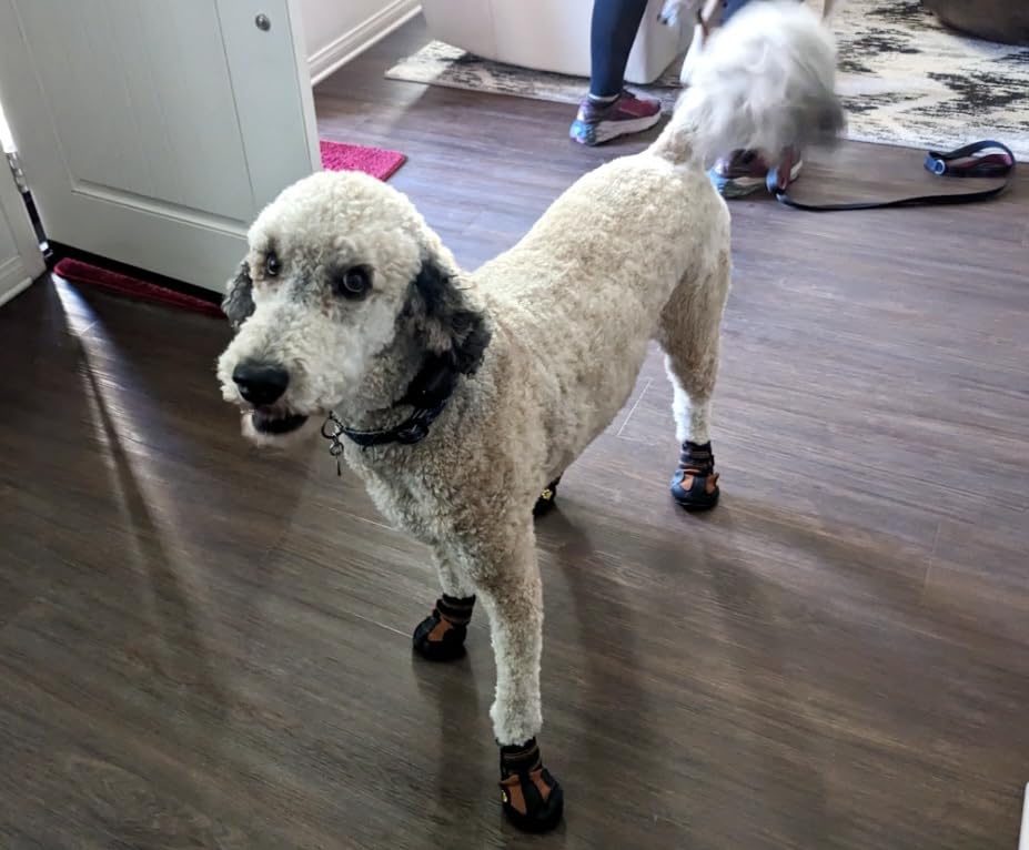 CovertSafe Dog Boots for Dogs Non-Slip, Waterproof Dog Booties for Outdoor, Dog Shoes for Medium to Large Dogs 4Pcs with Rugged Sole Black-Red customer photo 2