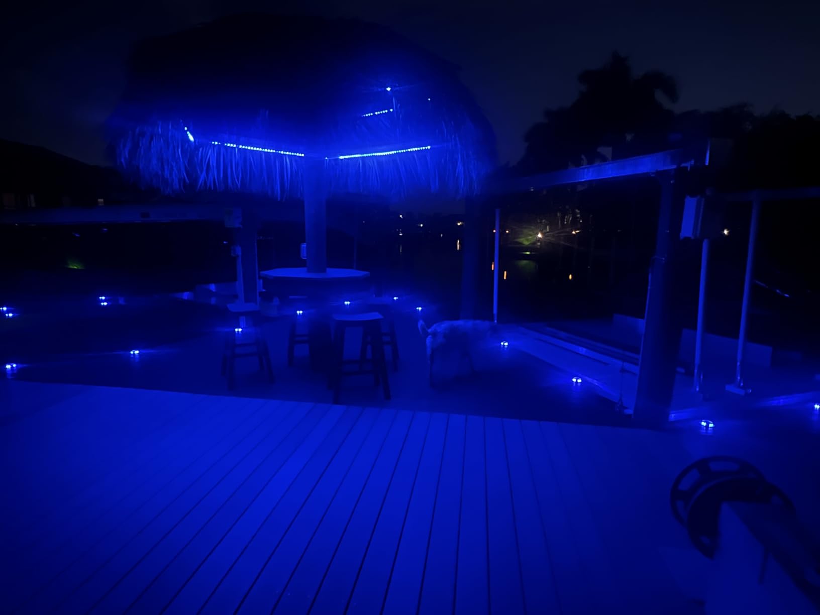 VOLISUN Solar Dock Marine Lights 12 Pack, 2 Colors in 1, Outdoor IP67 LED Solar Powered Waterproof Driveway Marker Deck Lights (White/Blue), Saltwater Resistant customer photo 1