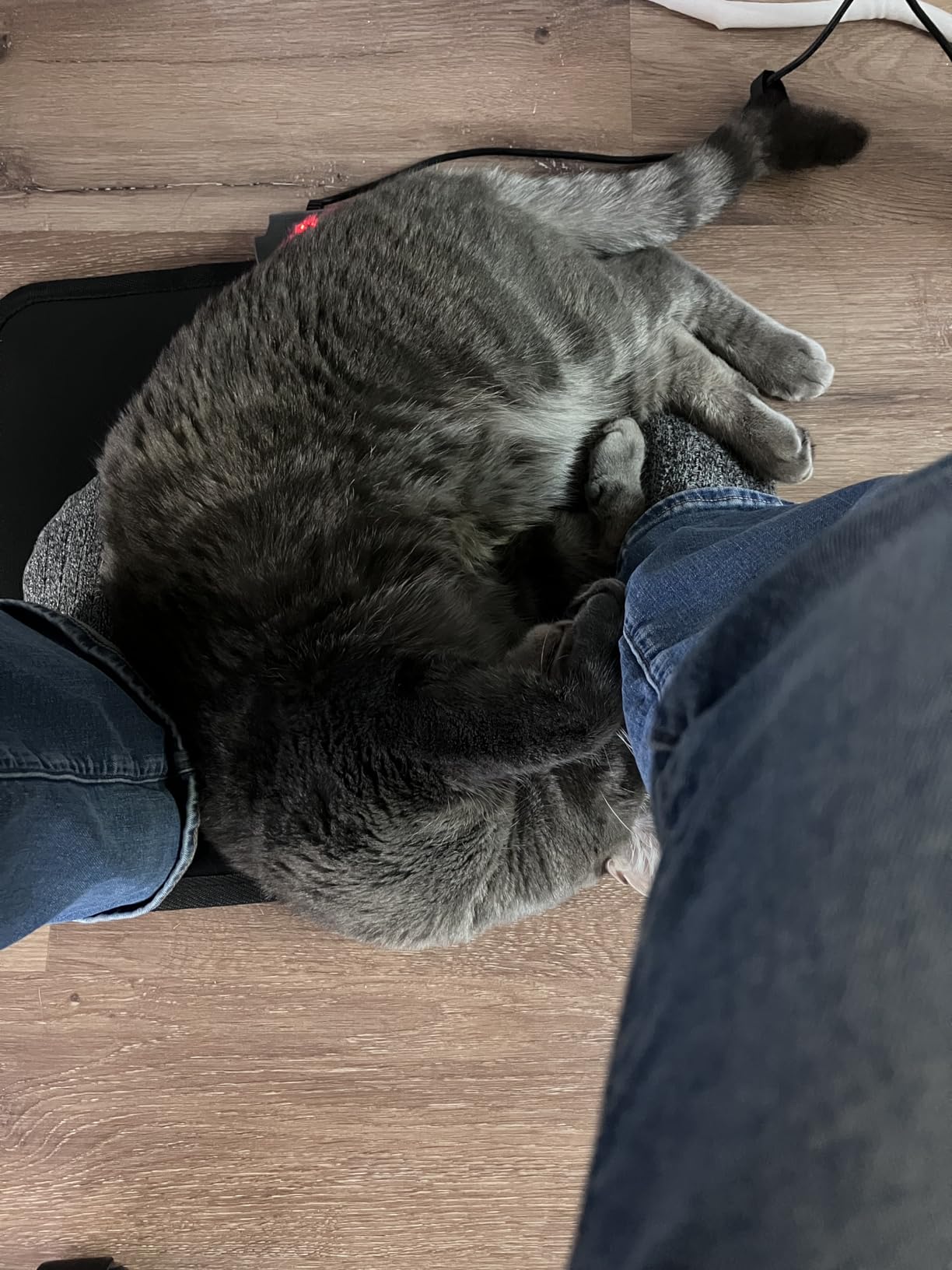 Heated Floor Mat Under Desk for Foot Warmer - Wider 110V Adjustable Temperature Electric Space Heaters Heating Pad - Carbon Crystal & Energy Saving Feet Warmers for Office, Home (Black Gray) customer photo 1