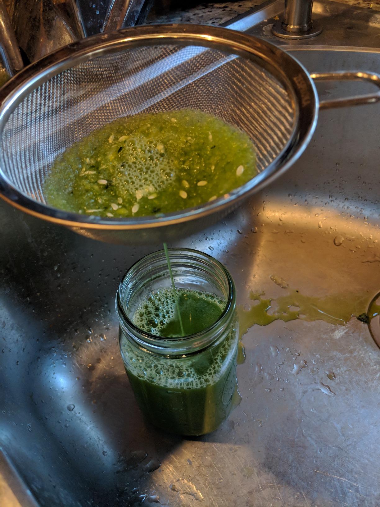 Omega Juicer Premium Vegetable and Fruit Juice Extractor and Nutrition System Makes Nut Milks Baby Food and Sorbets, Adjustable Pressure Settings 80-RPM Slow Masticating Juicer, 150-Watts, Red customer photo 2