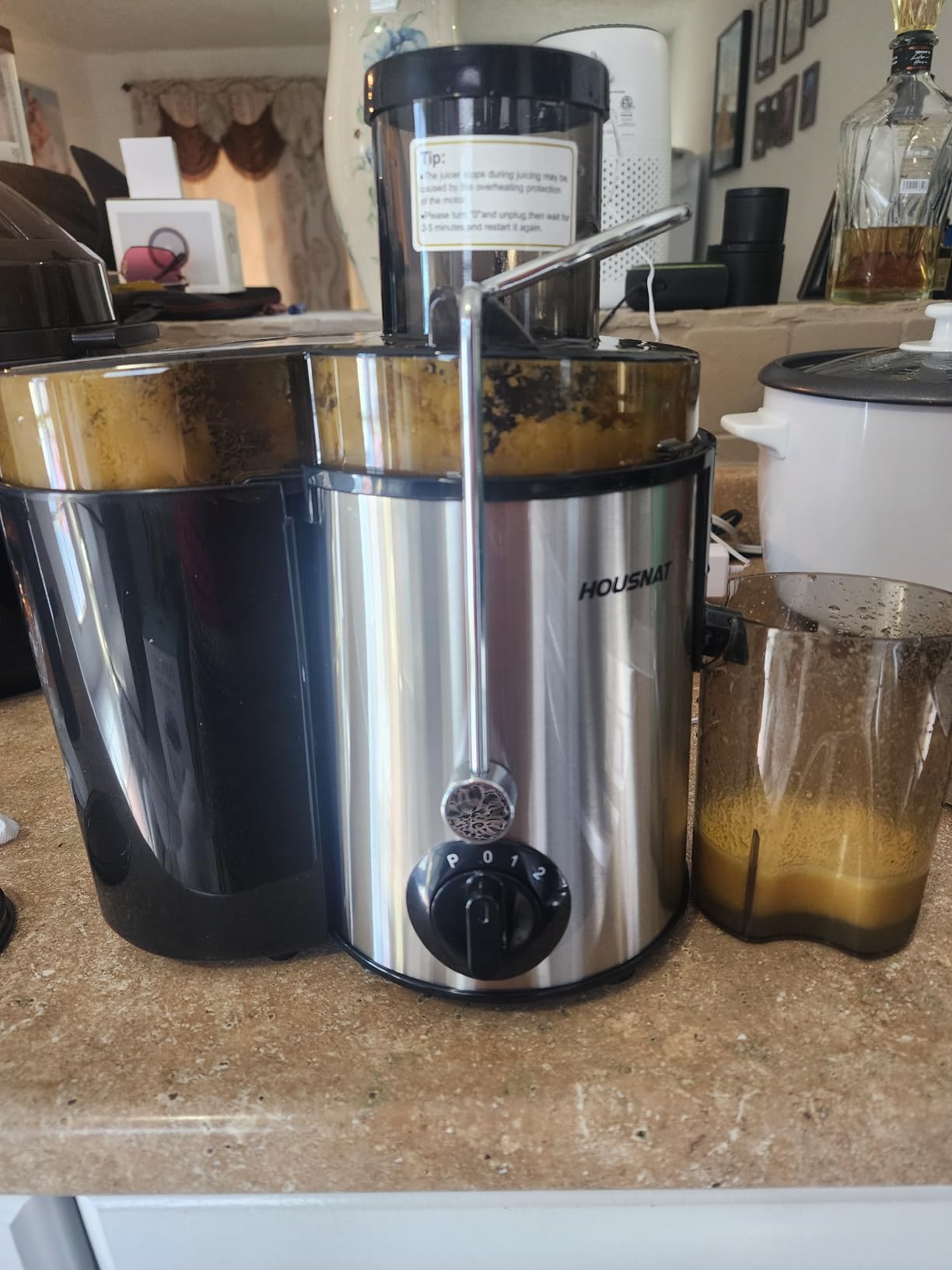 Juicer Machines, HOUSNAT Juicer Whole Fruit and Vegetables with 3-Speed Setting, 400 W Motor Quick Juicing Ideal for Beginners & Light Daily Use, Cleaning Brush and Juicing Recipe Included customer photo 2