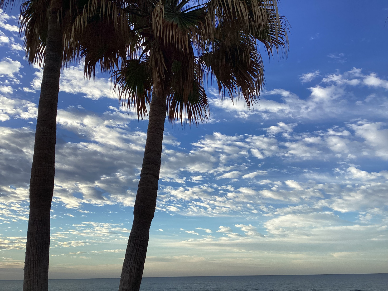 iPad (9th Generation): with A13 Bionic chip, 10.2-inch Retina Display, 64GB, Wi-Fi, 12MP front/8MP Back Camera, Touch ID, All-Day Battery Life - Space Gray customer photo 2