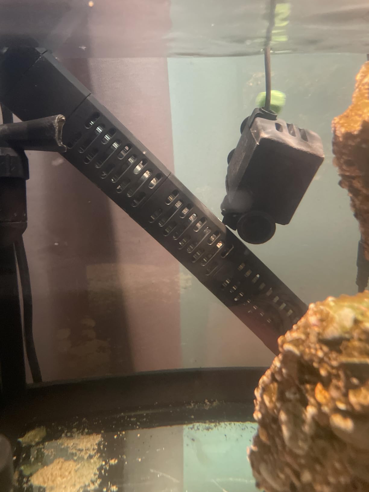 HiTauing Aquarium Heater, 50W/100W/200W/300W/500W Submersible Fish Tank Heater with Over-Temperature Protection and Automatic Power-Off When Leaving Water for Saltwater and Freshwater customer photo 1