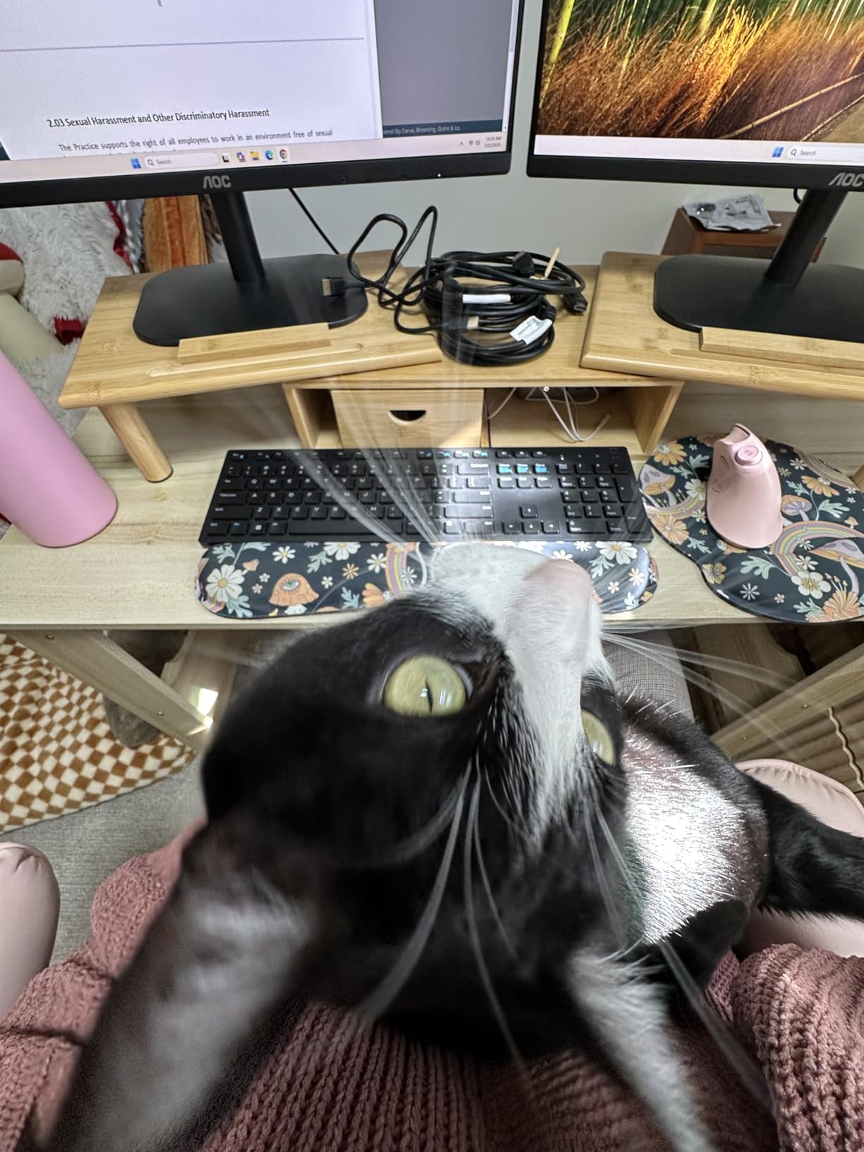 Dual Monitor Stand Riser with Drawer for Desk Laptop Desk Shelf with Adjustable Length and Angle, Bamboo Computer Stand Riser for 2 or 3 Monitors Screen Laptop PC TV -Natural customer photo 1