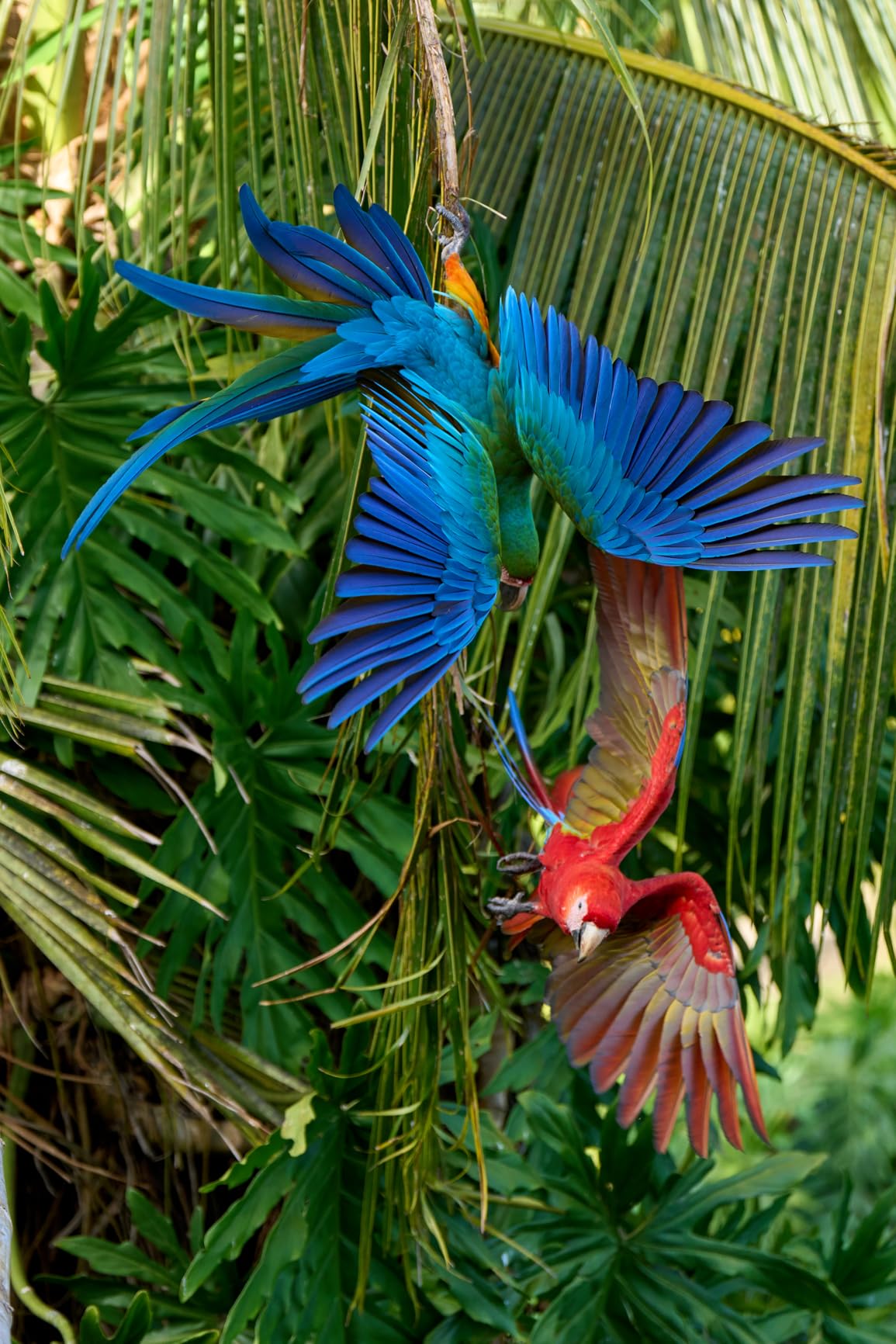 Sony FE 70-200mm f/2.8 GM OSS II - Full-Frame G Master Telephoto Zoom customer photo 1