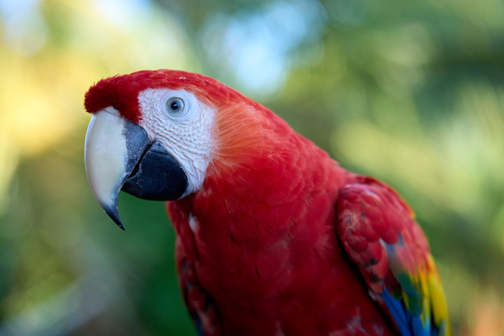 Sony FE 70-200mm f/2.8 GM OSS II - Full-Frame G Master Telephoto Zoom customer photo 2